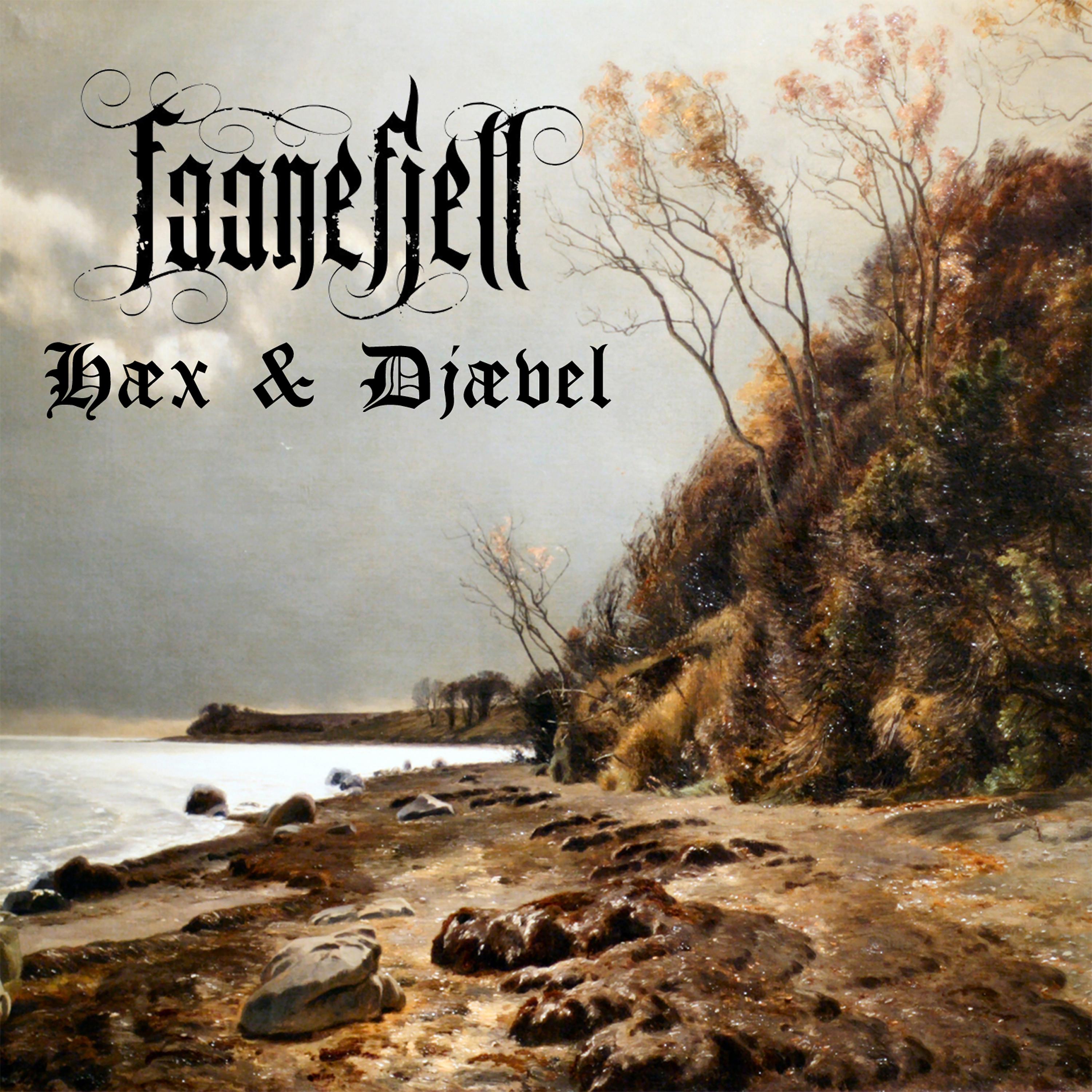 Постер альбома Hæx & Djævel