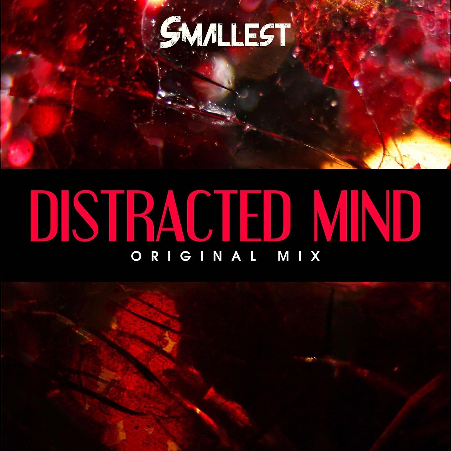 Smallest - A Distracted Mind
