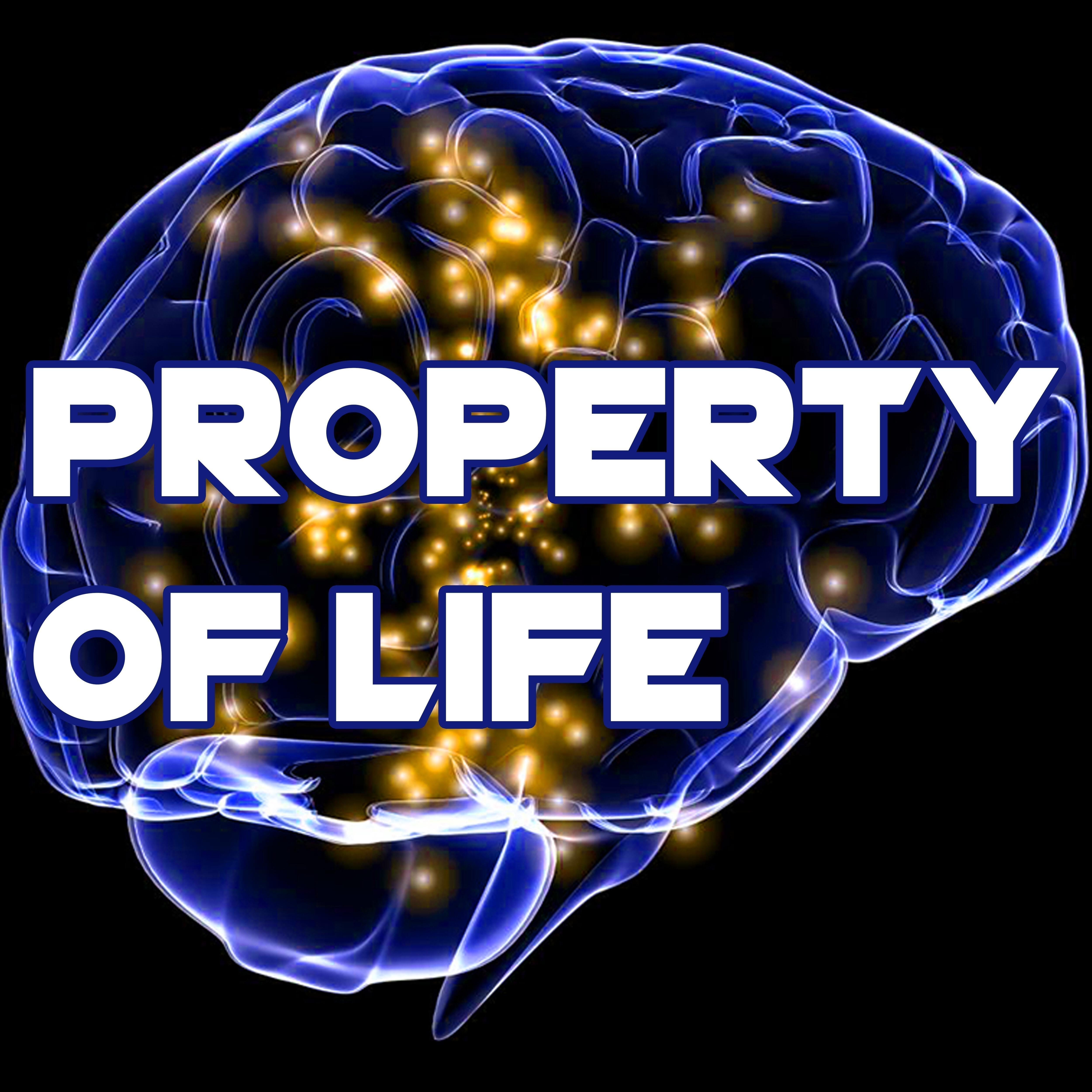 4MHZ - Property of Life