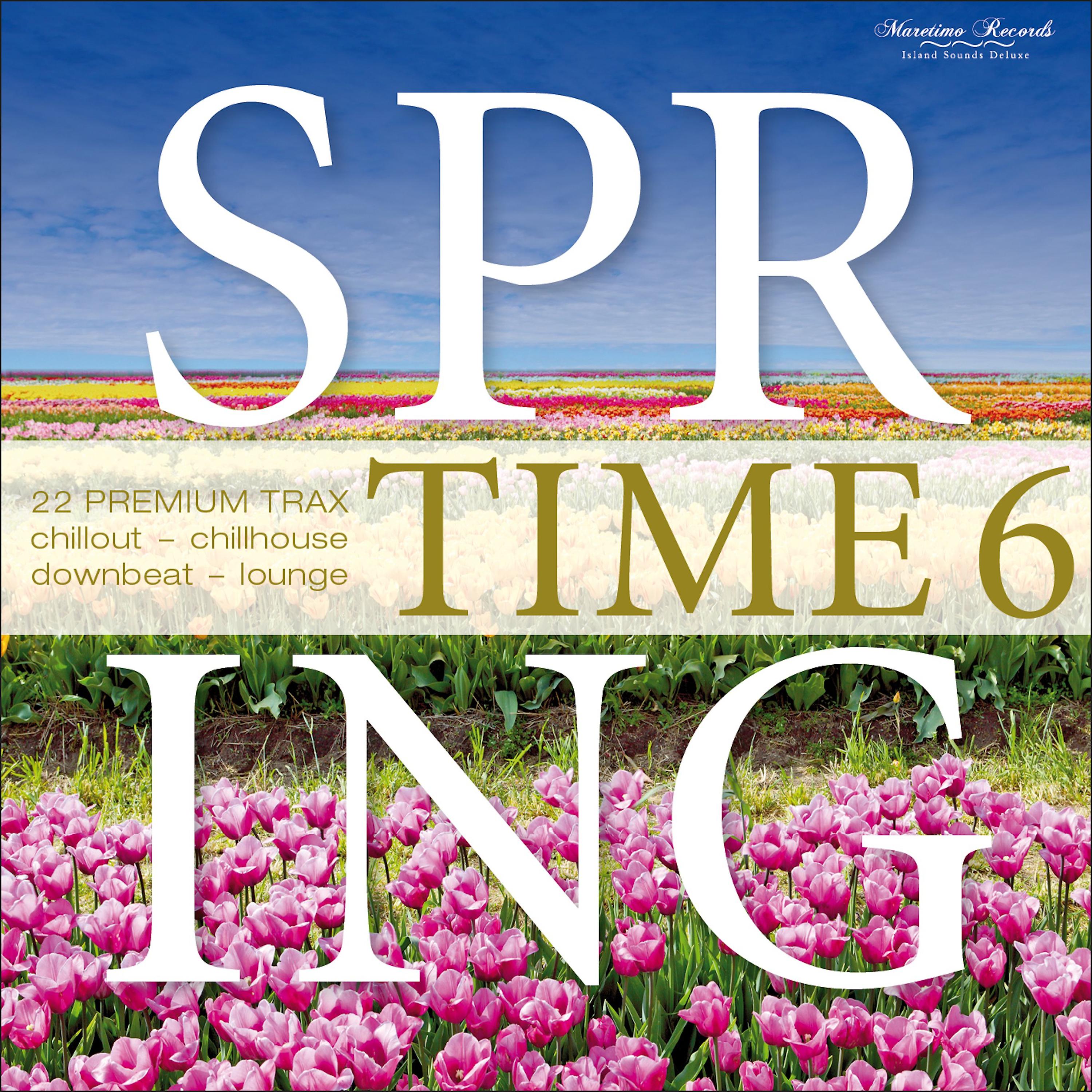 Постер альбома Spring Time, Vol. 6 - 22 Premium Trax (Chillout - Chillhouse - Downbeat - Lounge)