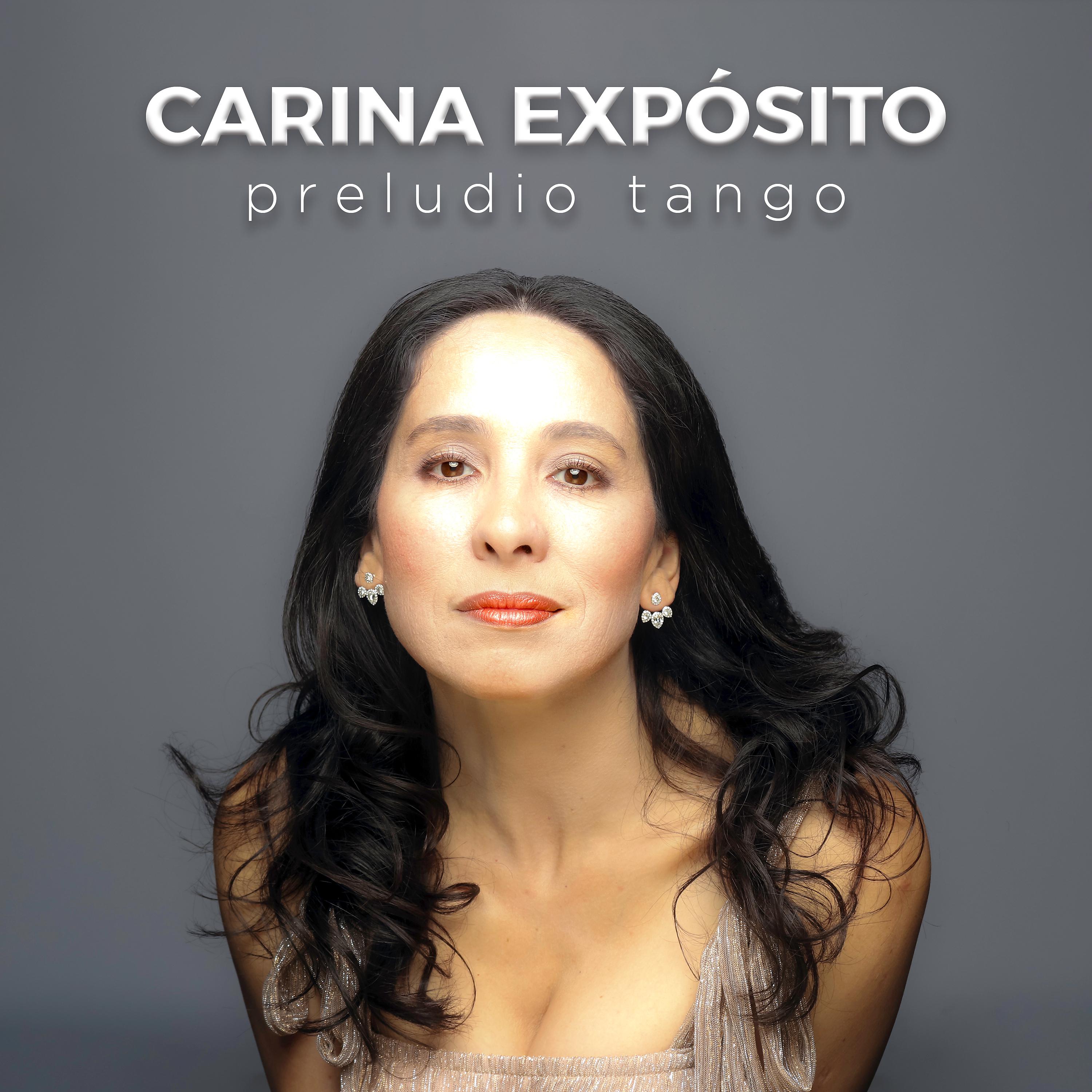 Постер альбома Preludio Tango