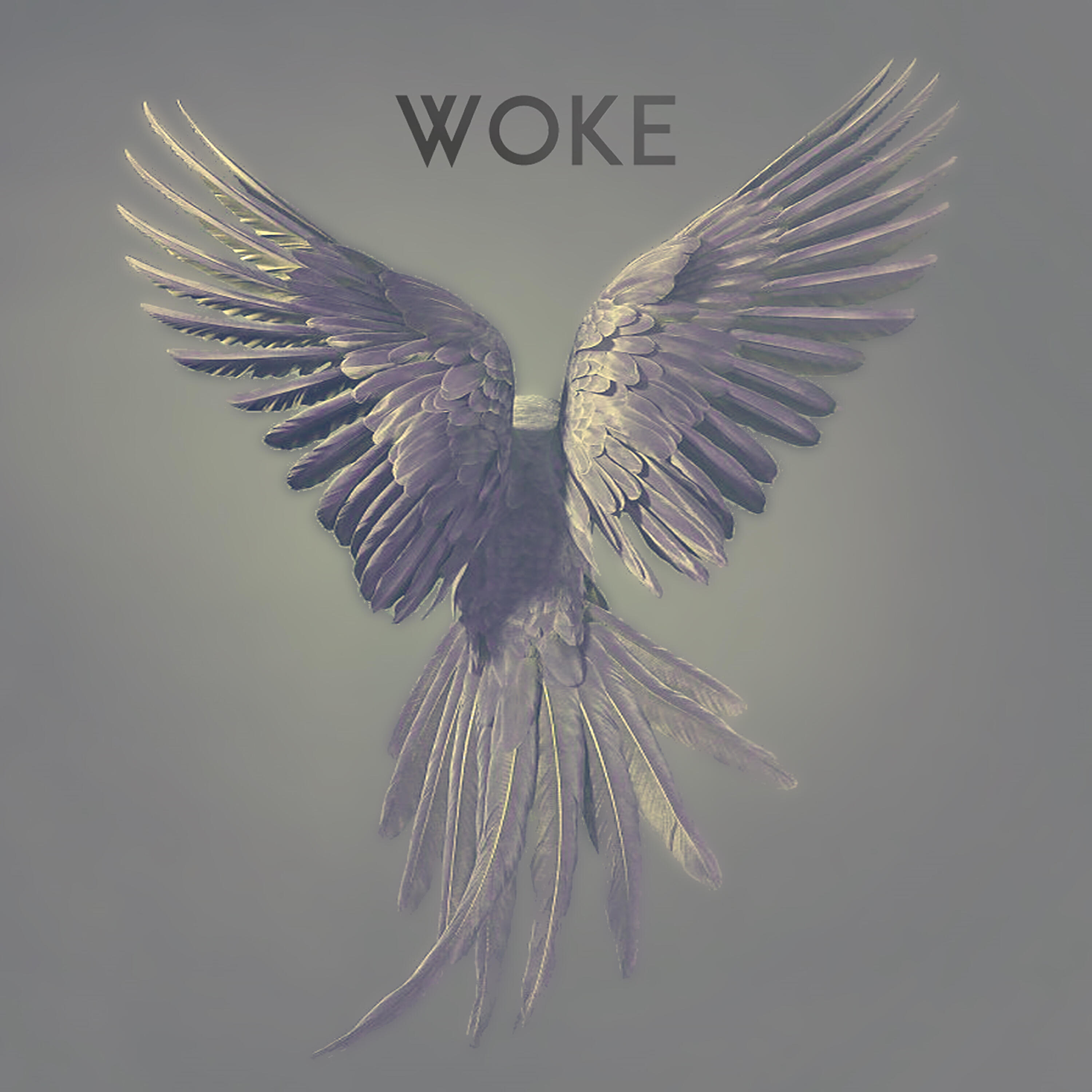 Unitary - Woke (Iioioioii Remix)