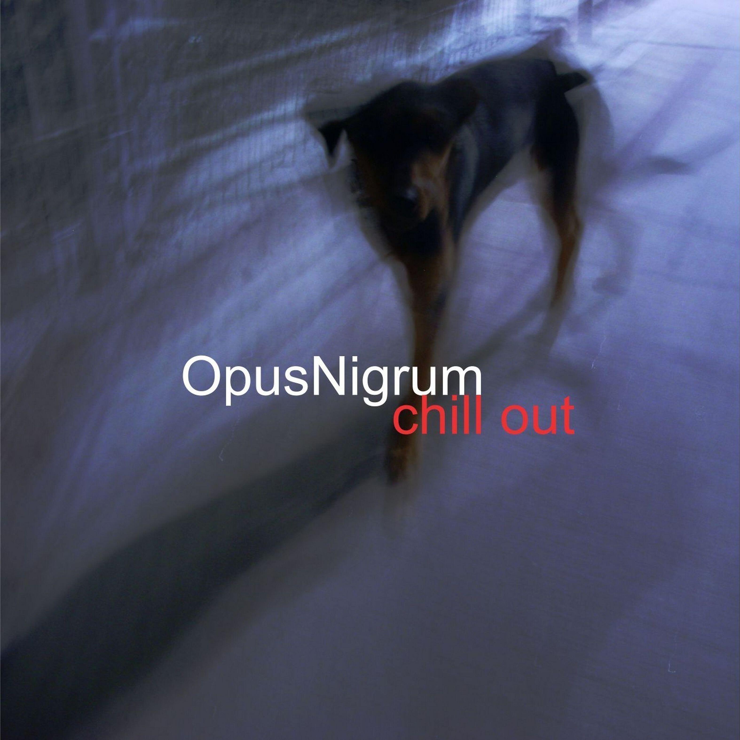Opus Nigrum - Alquimia