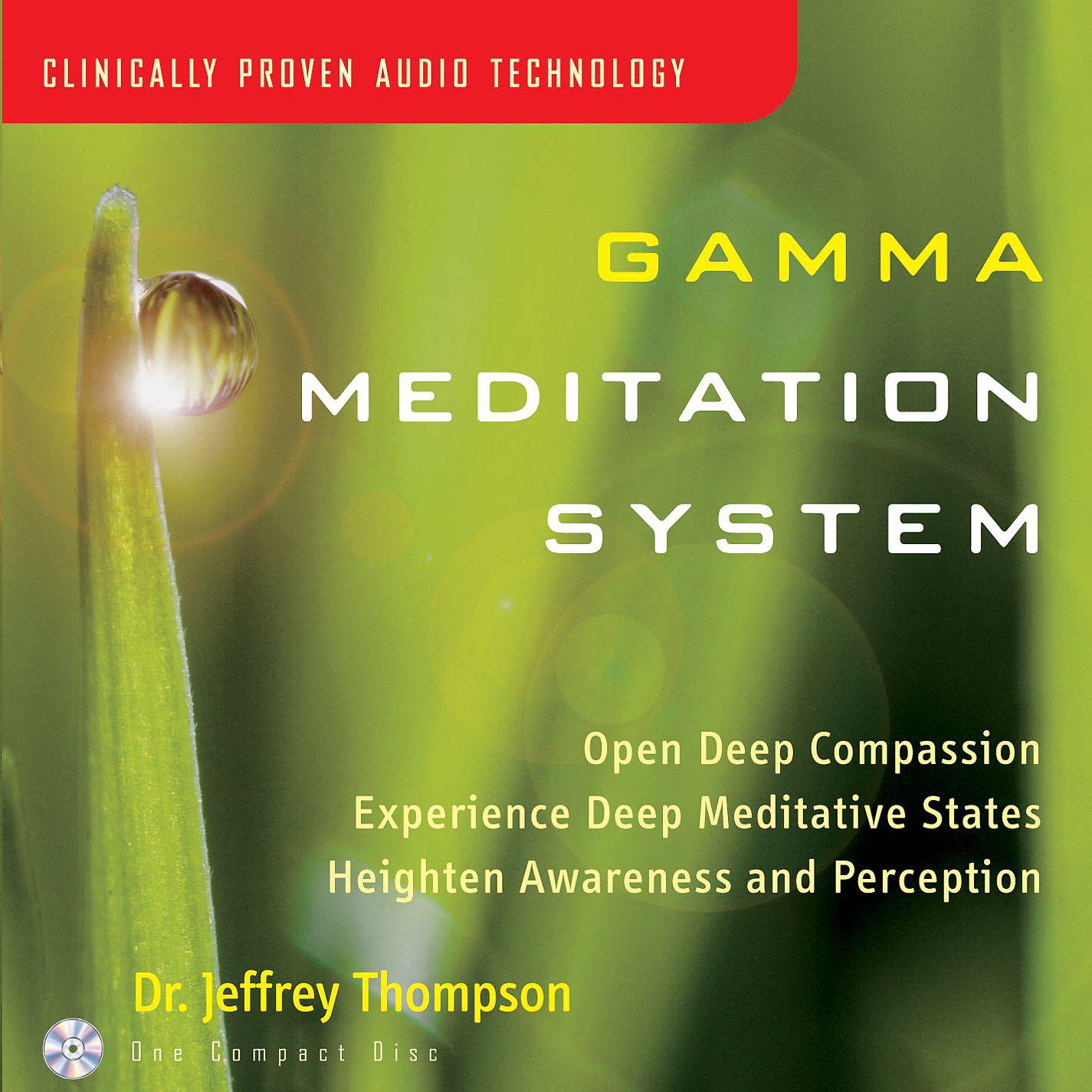 Постер альбома Gamma Meditation System