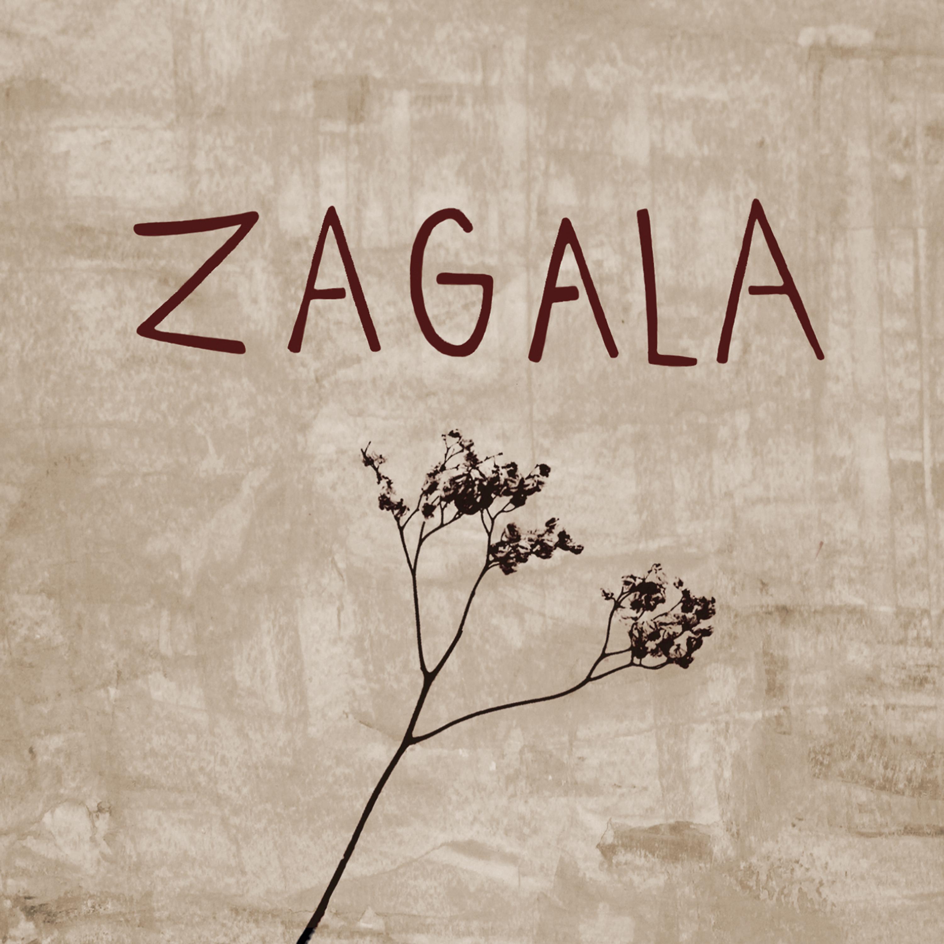 Постер альбома Zagala
