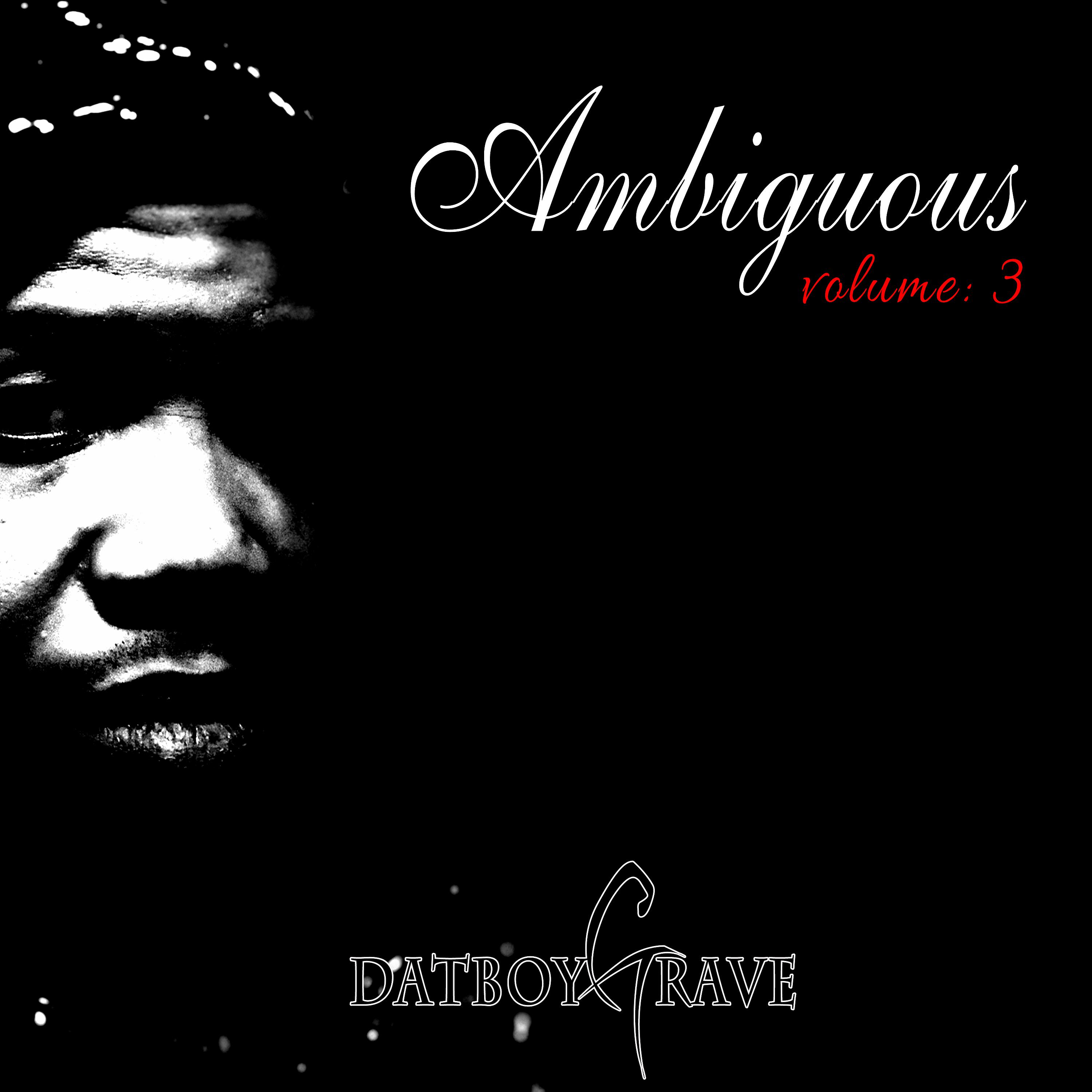 Постер альбома Ambiguous, Vol. 3