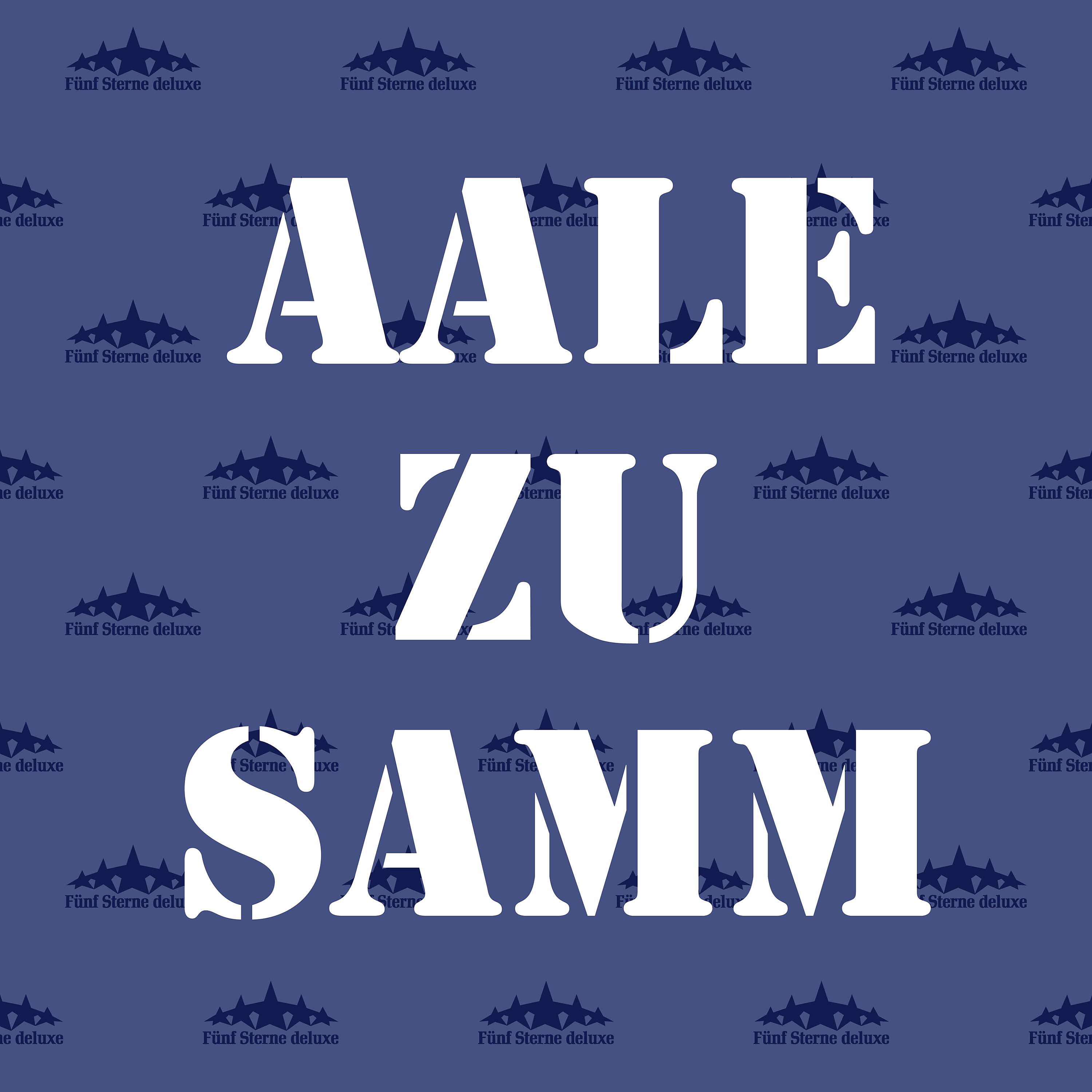 Постер альбома Aale Zu Samm