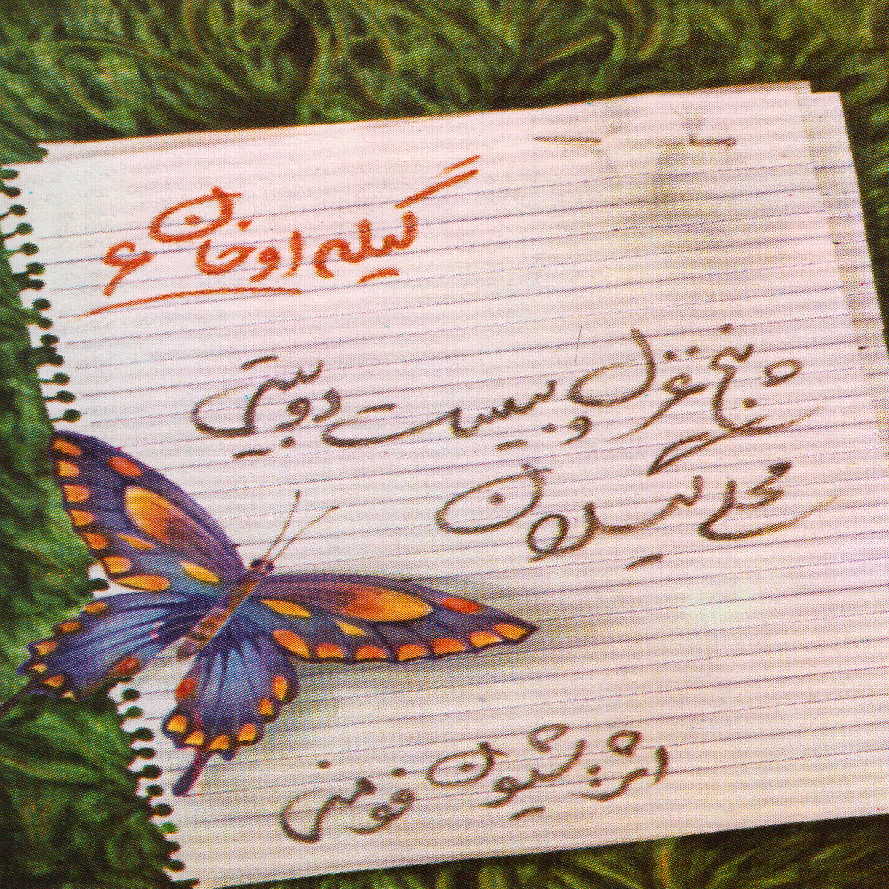 Shivan Foomani - Dota Nahal