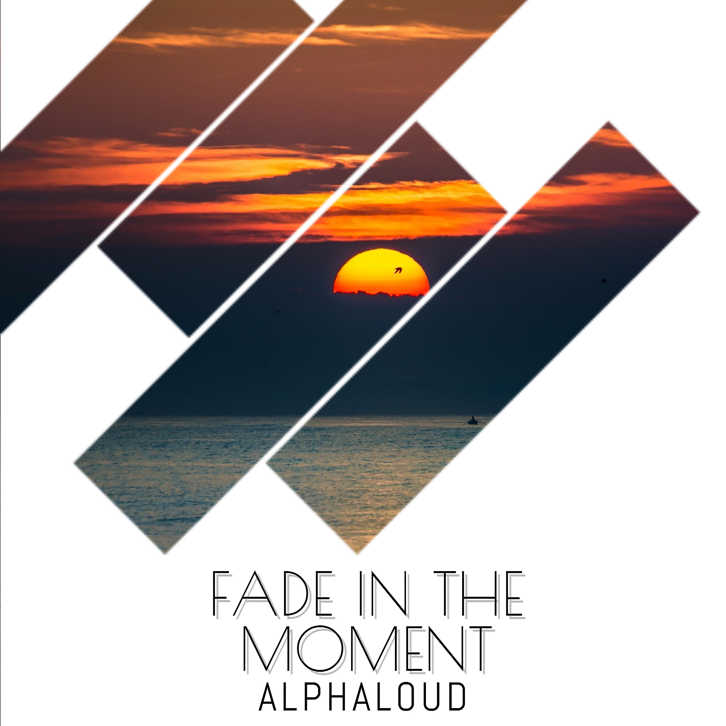 Постер альбома Fade in the Moment (Extended)