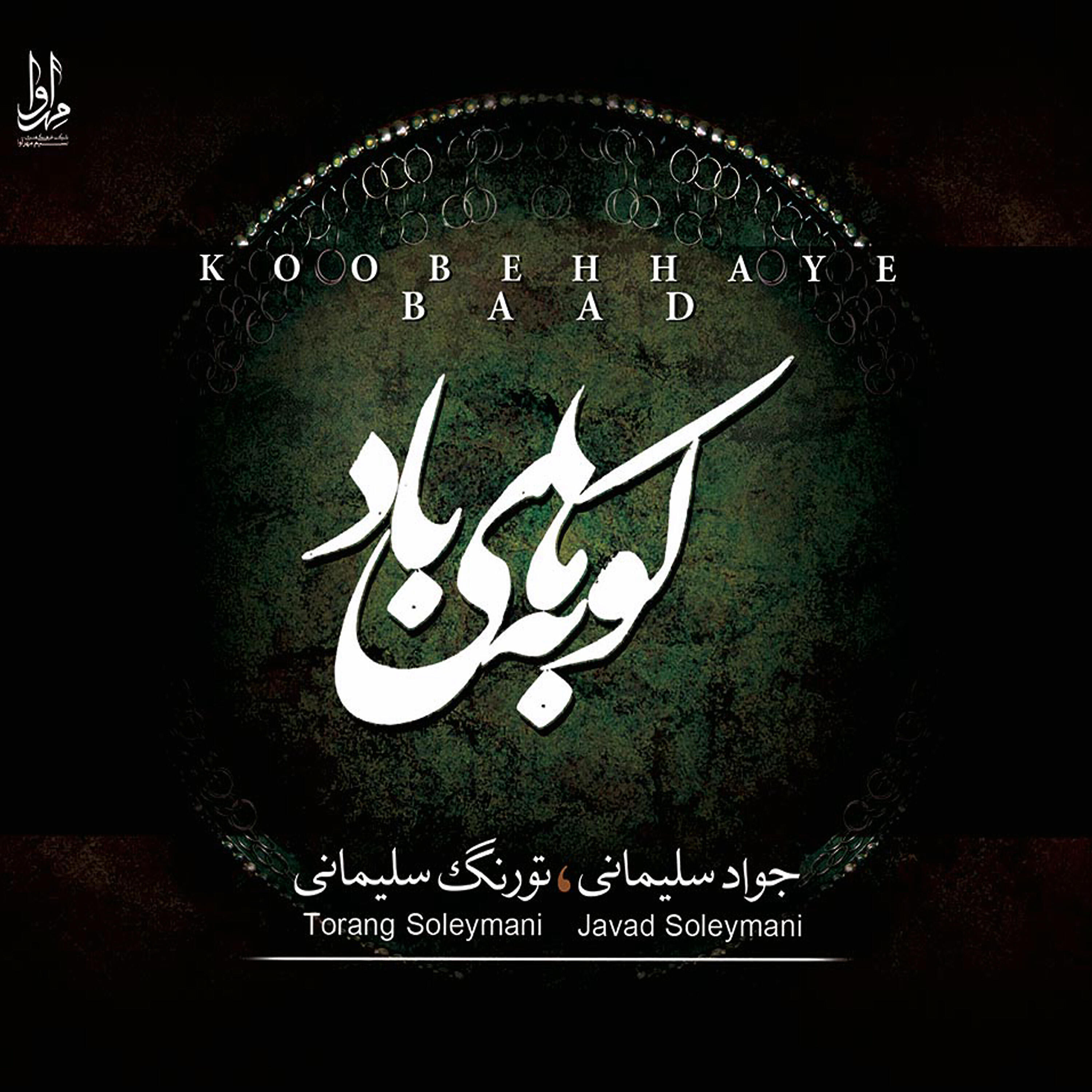 Javad Soleymani - Raghs-e Toofan