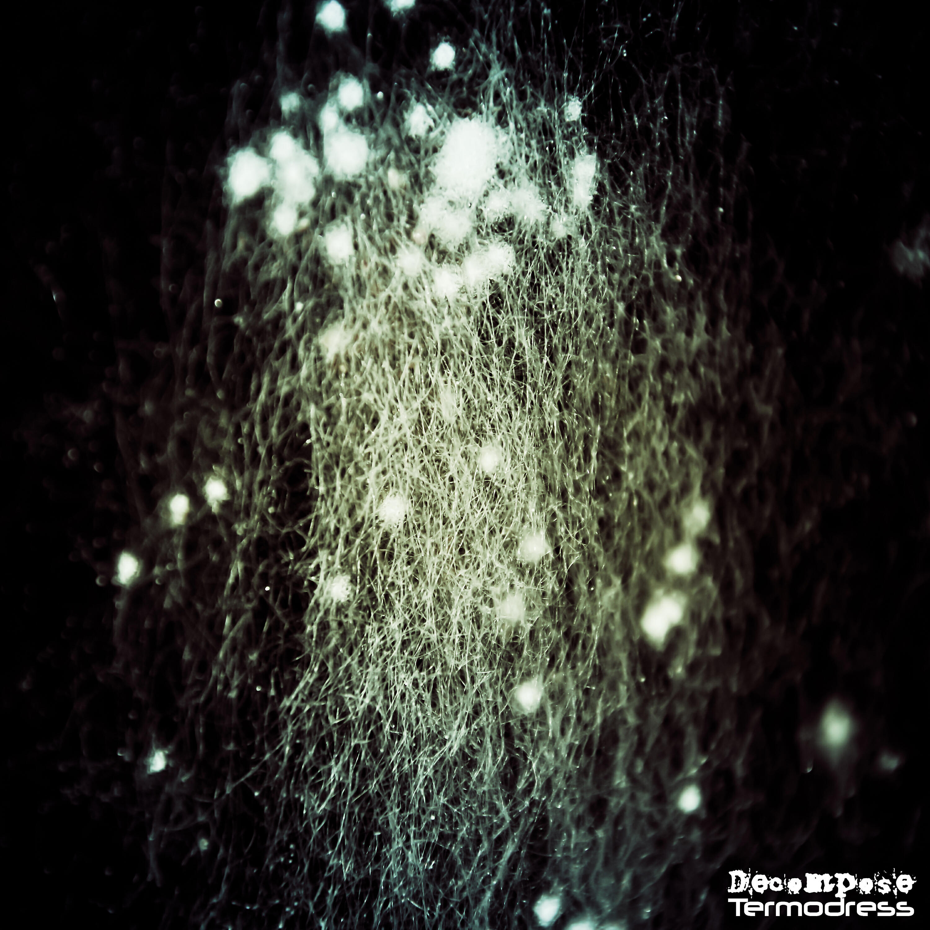 Termodress - Biome