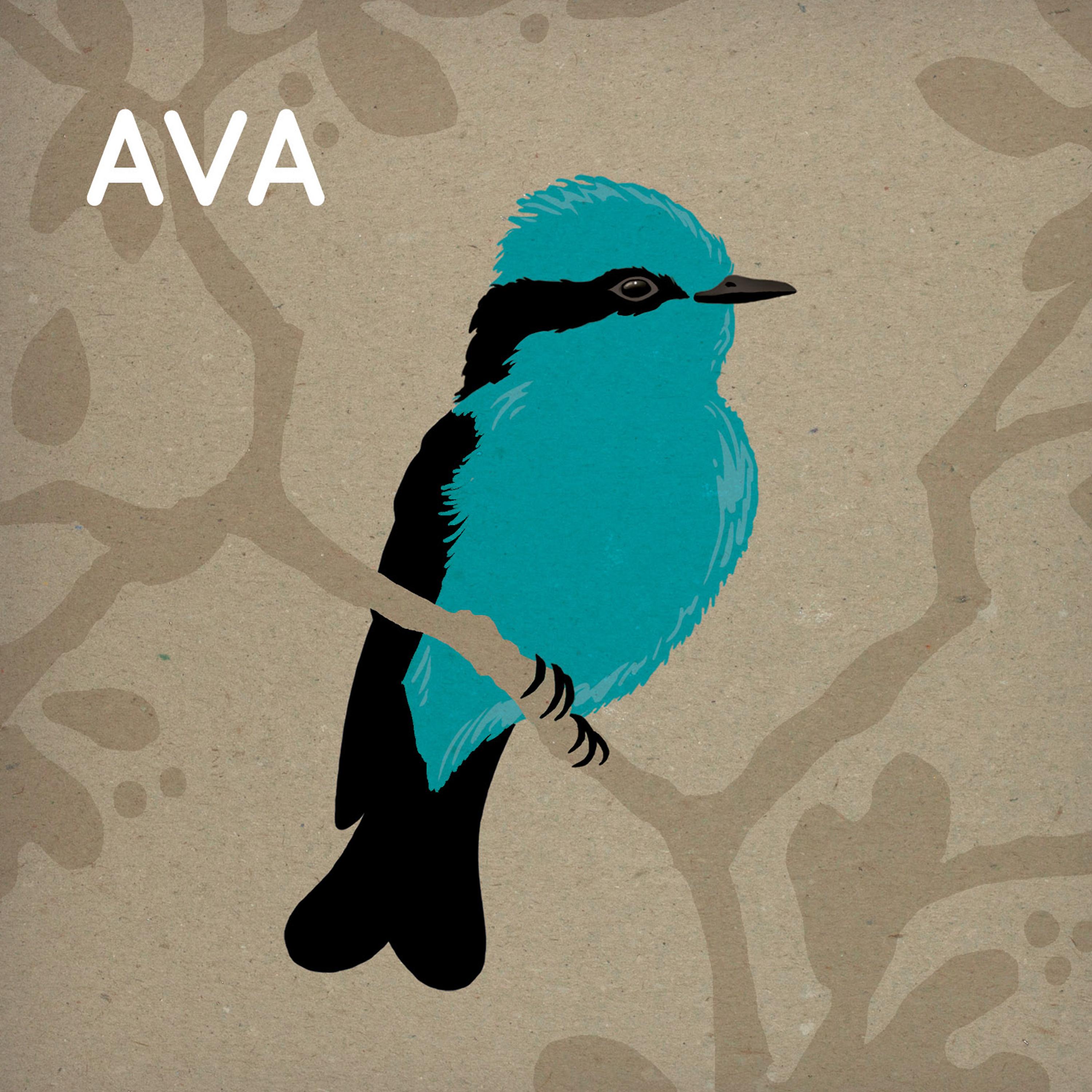 Постер альбома Ava