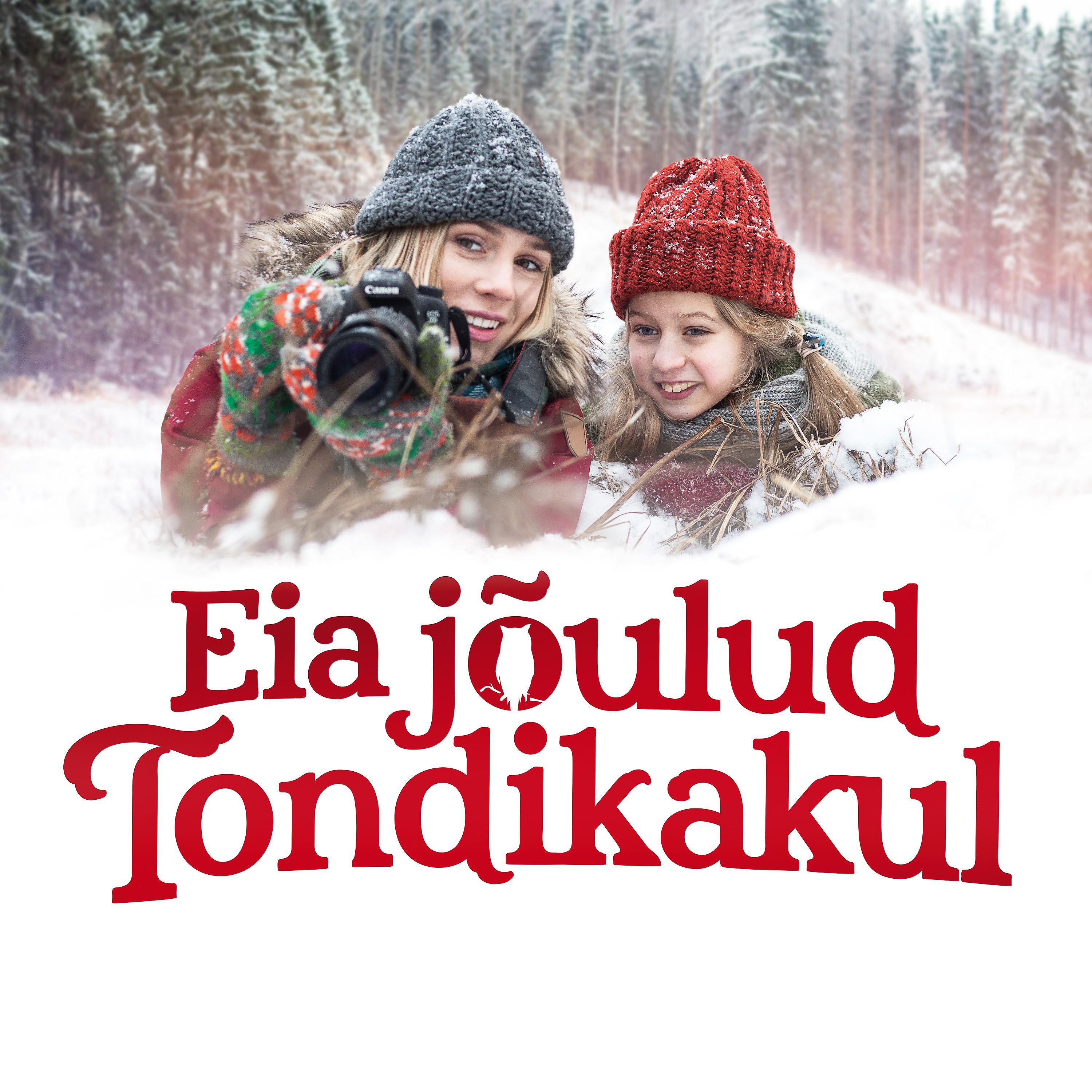 Постер альбома Sel Ööl on Tunne