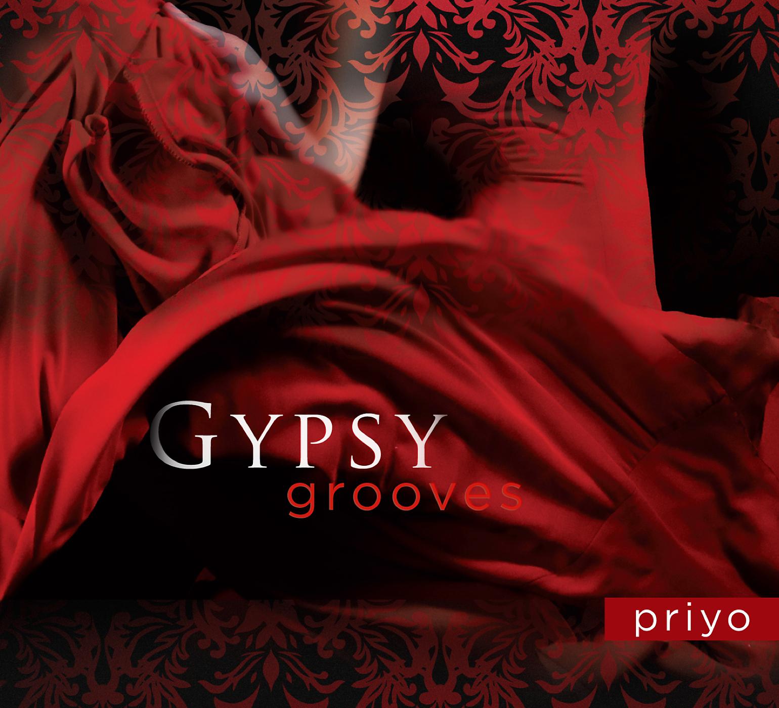 Постер альбома Gypsy Grooves