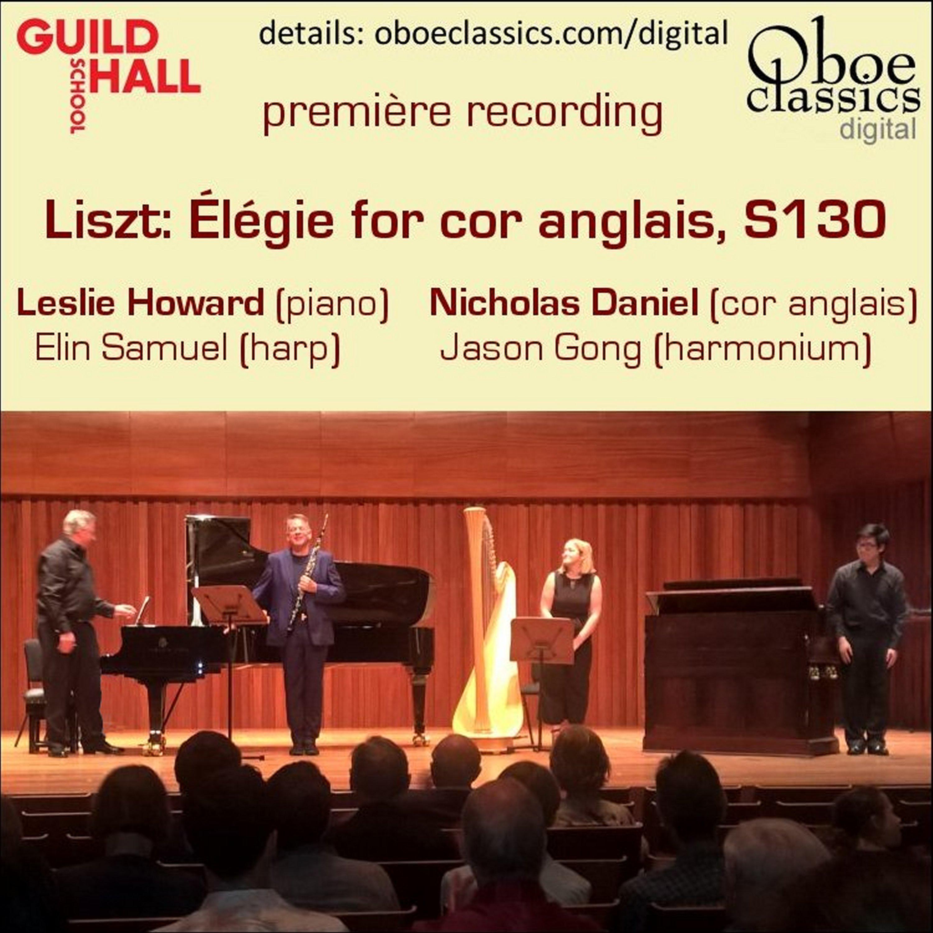 Постер альбома Liszt  Élégie
