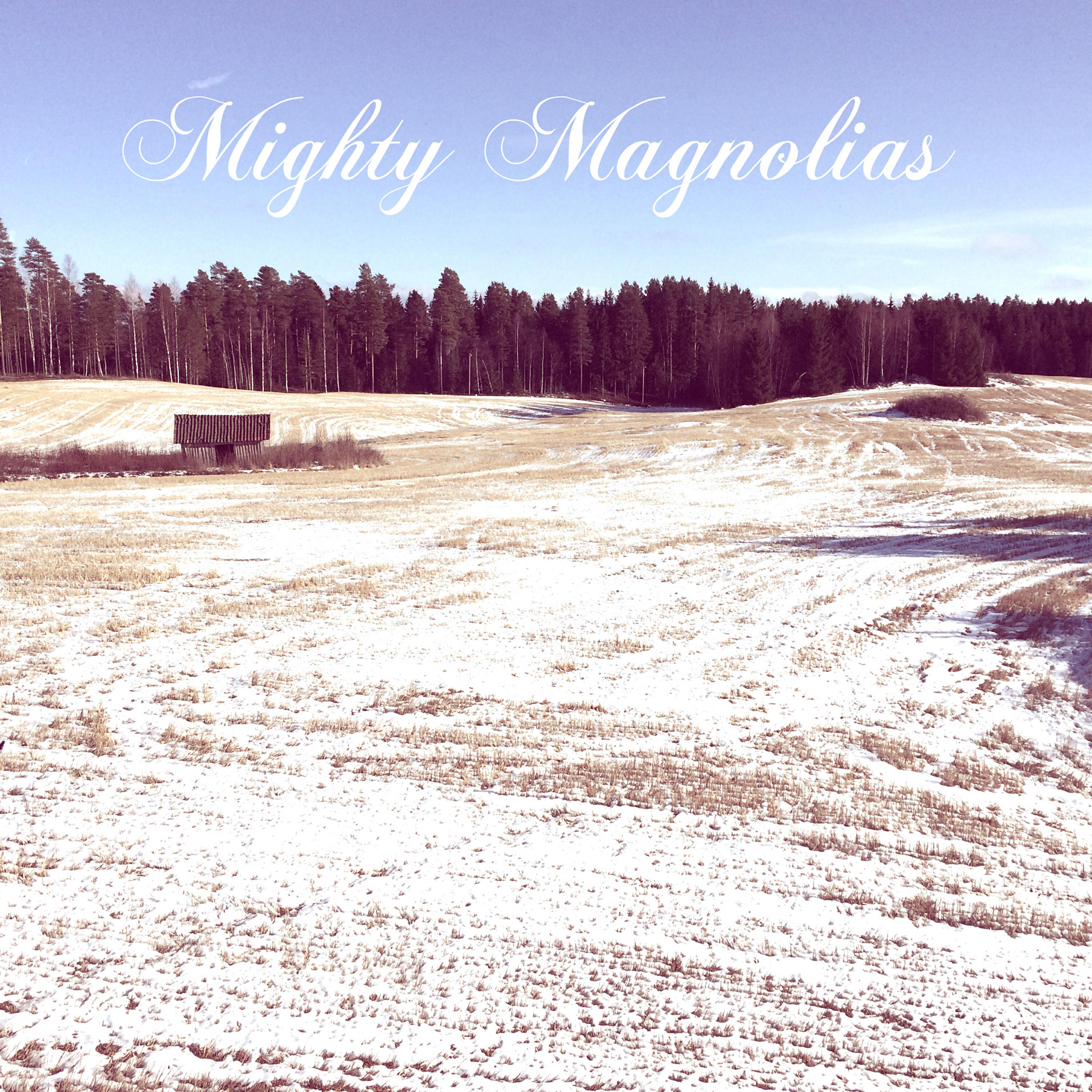 Mighty Magnolias - Someone Else