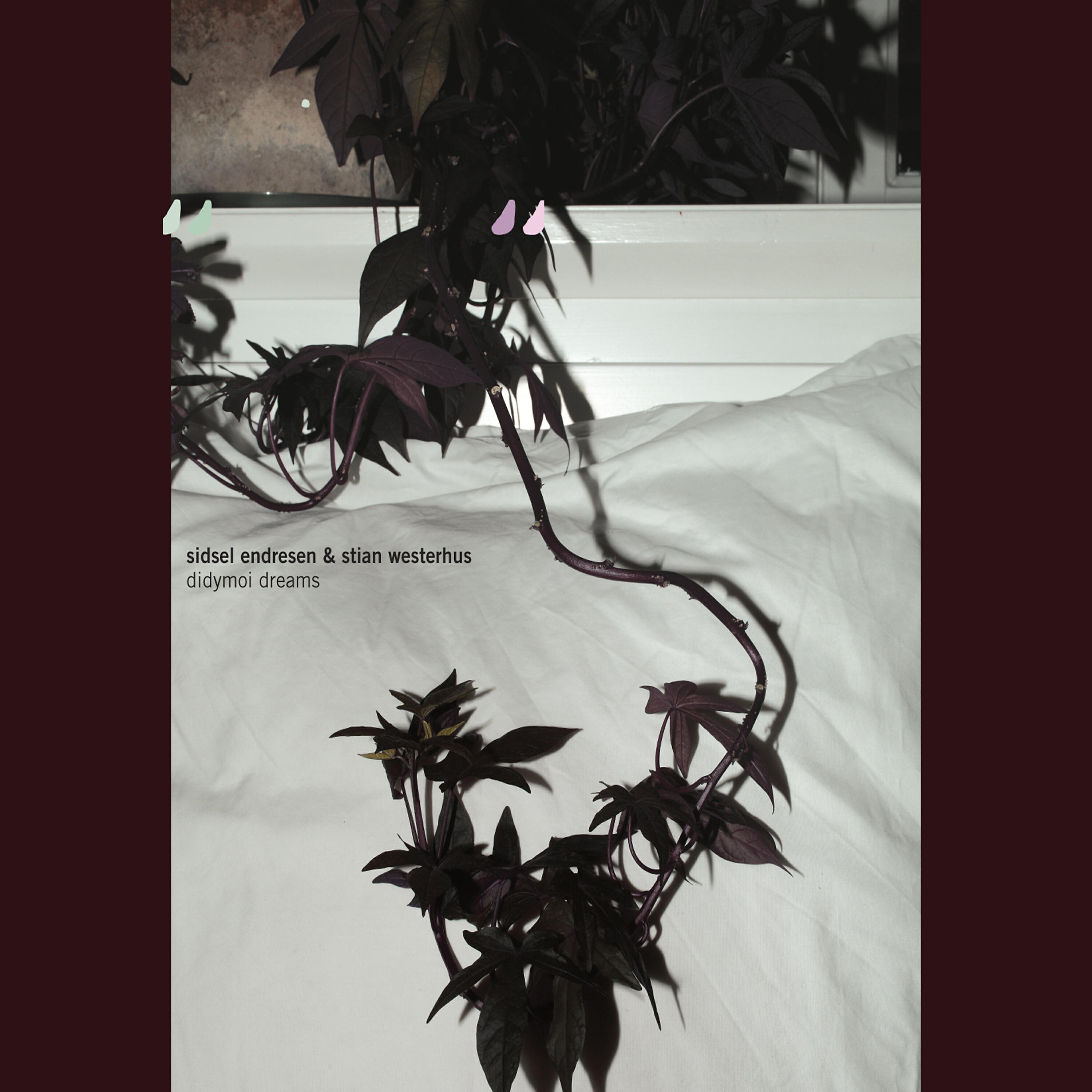 Sidsel Endresen - Limbs Leaves and Snowmobiles