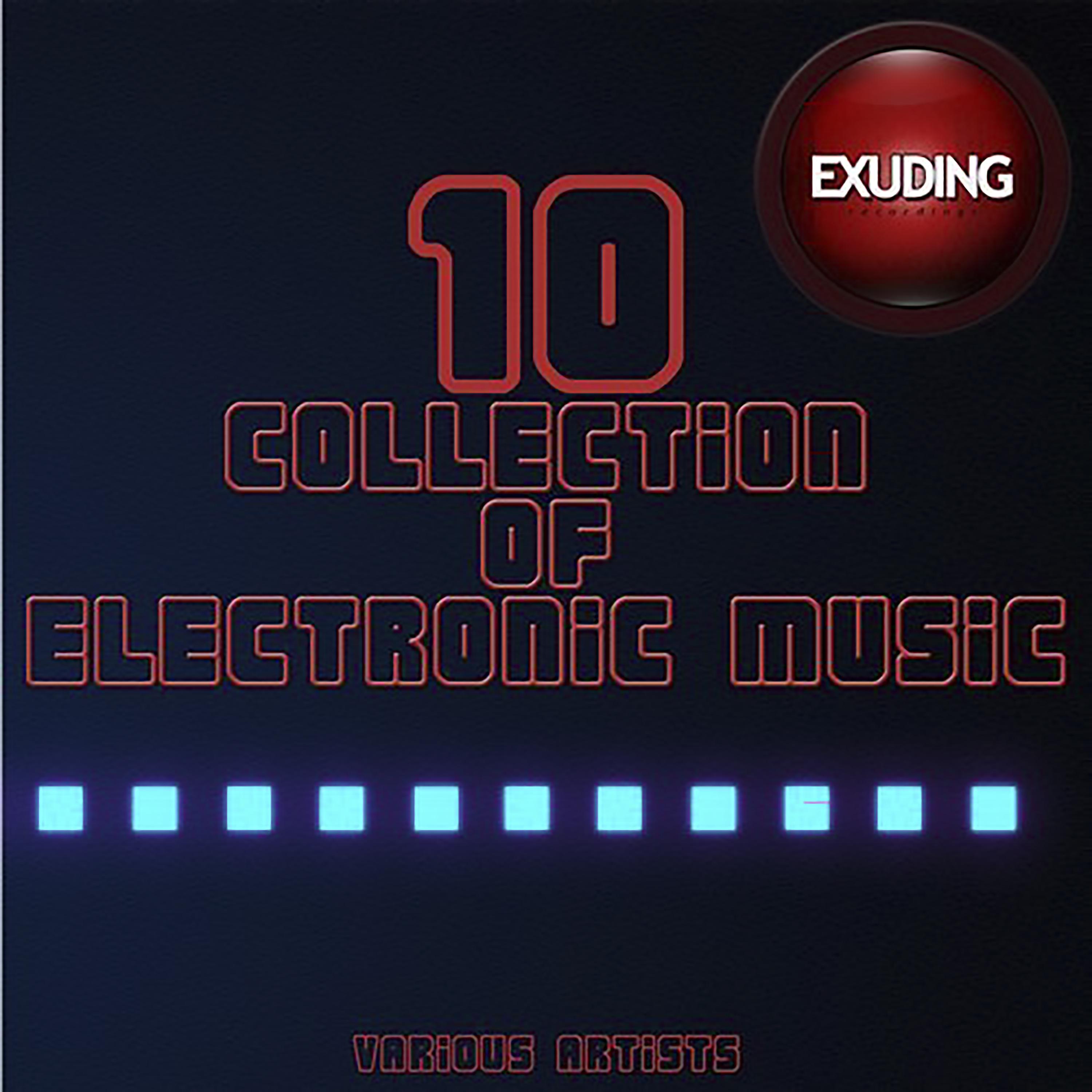 Постер альбома Collection Of Electronic Music, Vol. 10