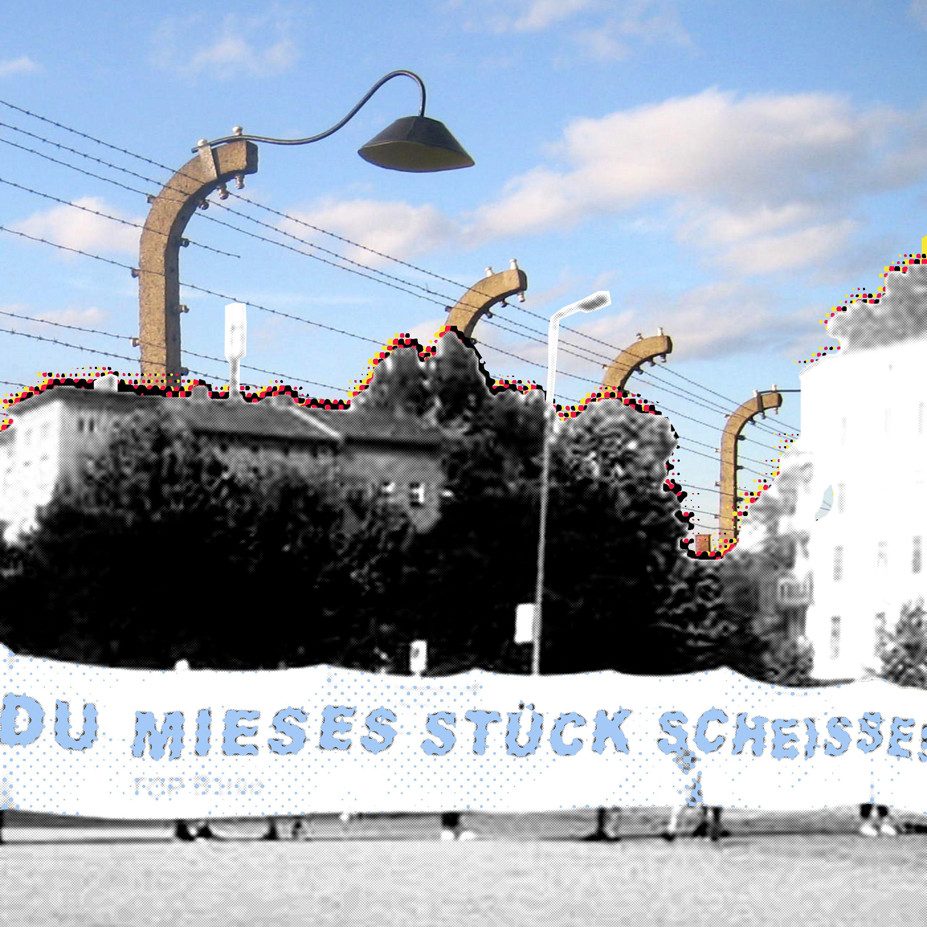 Постер альбома Deutschland, du mieses Stück Scheisse