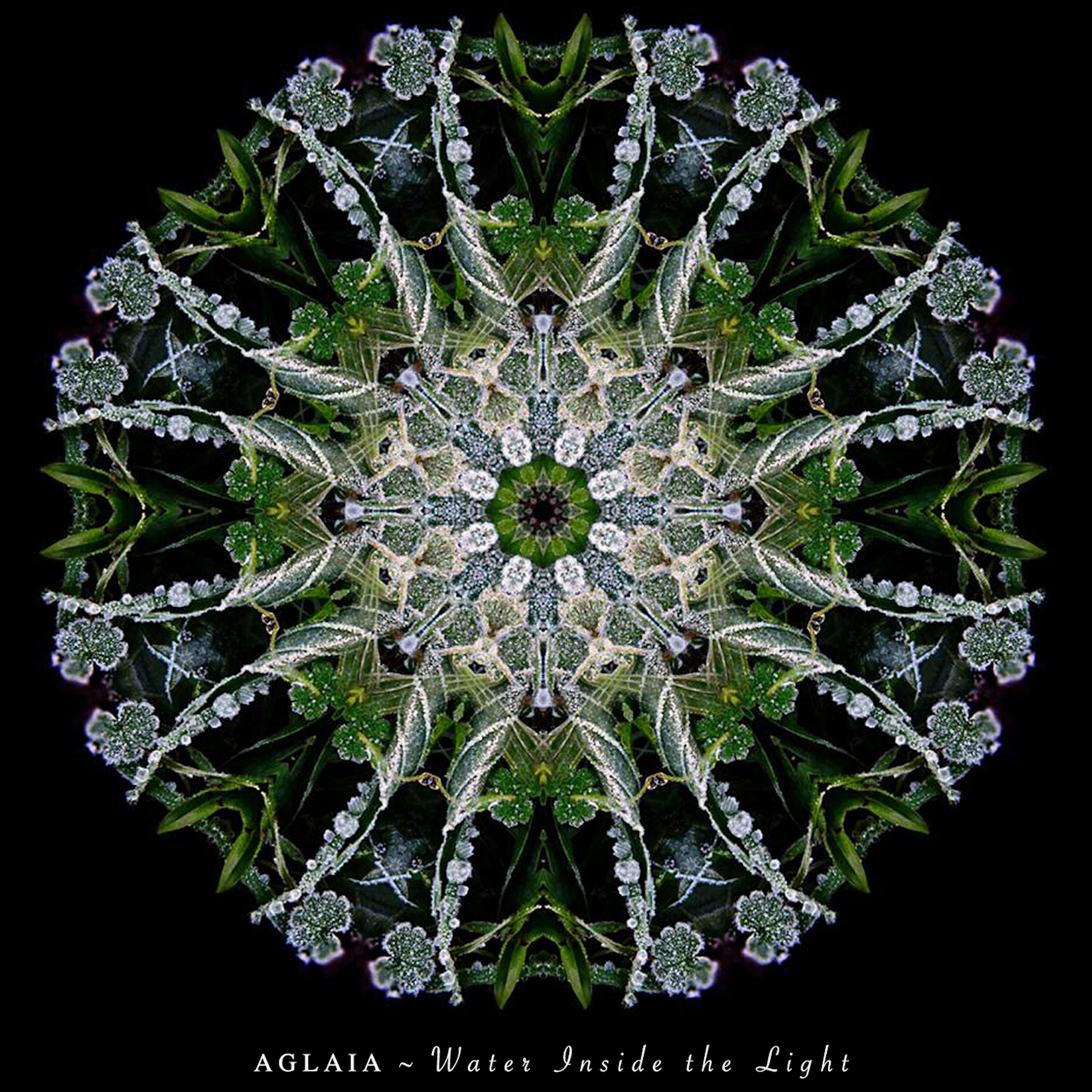 Aglaia - Slow River