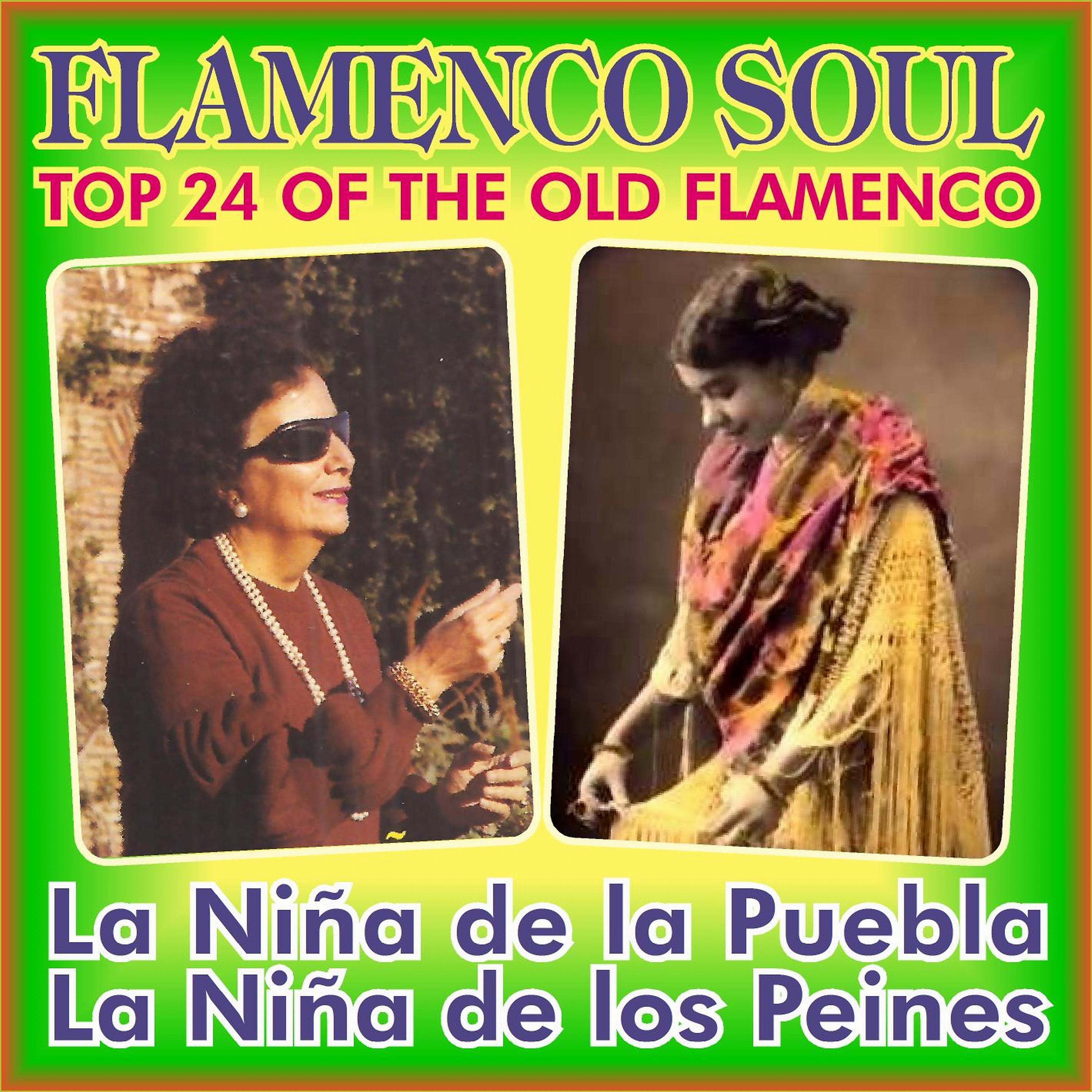 Постер альбома Flamenco Soul