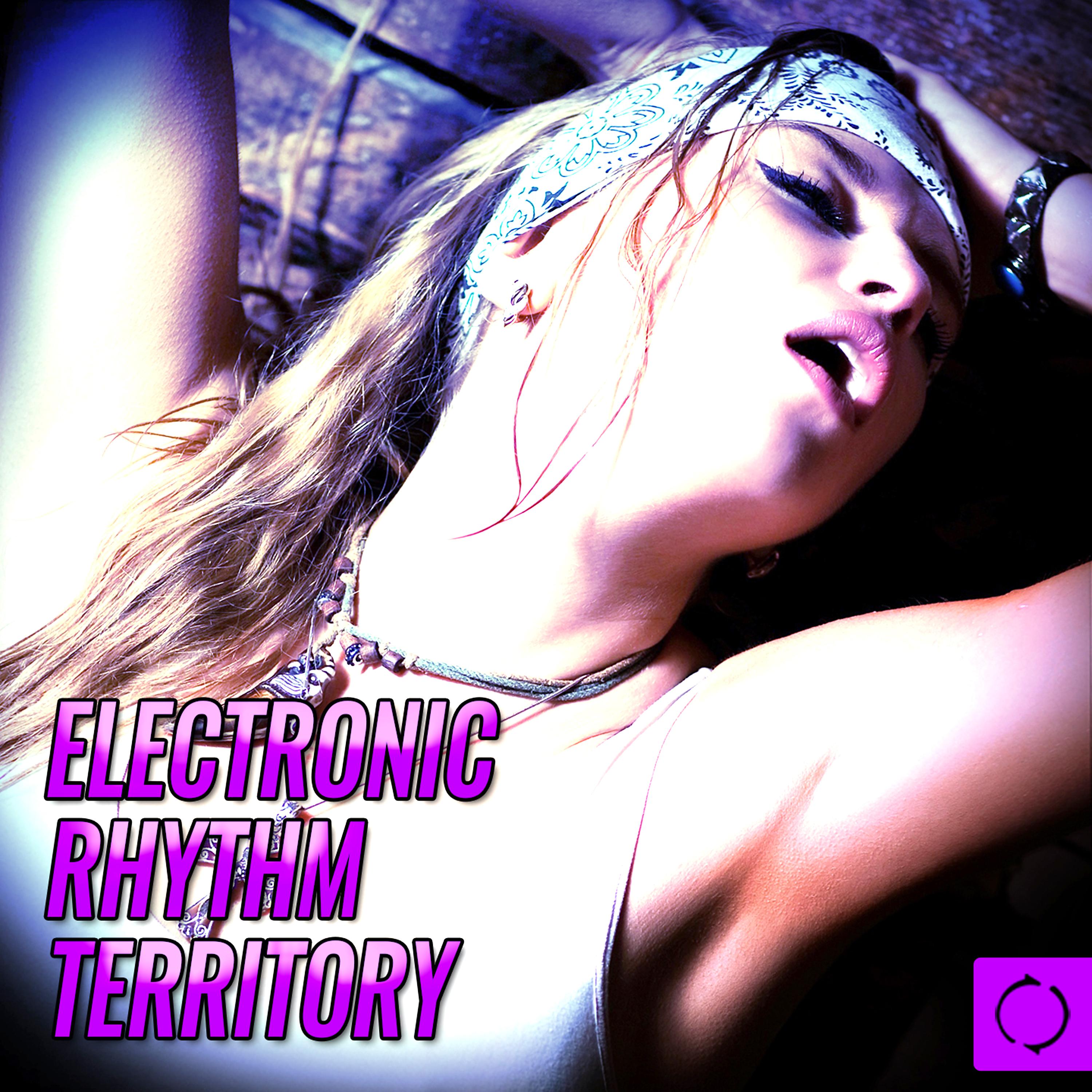 Постер альбома Electronic Rhythm Territory
