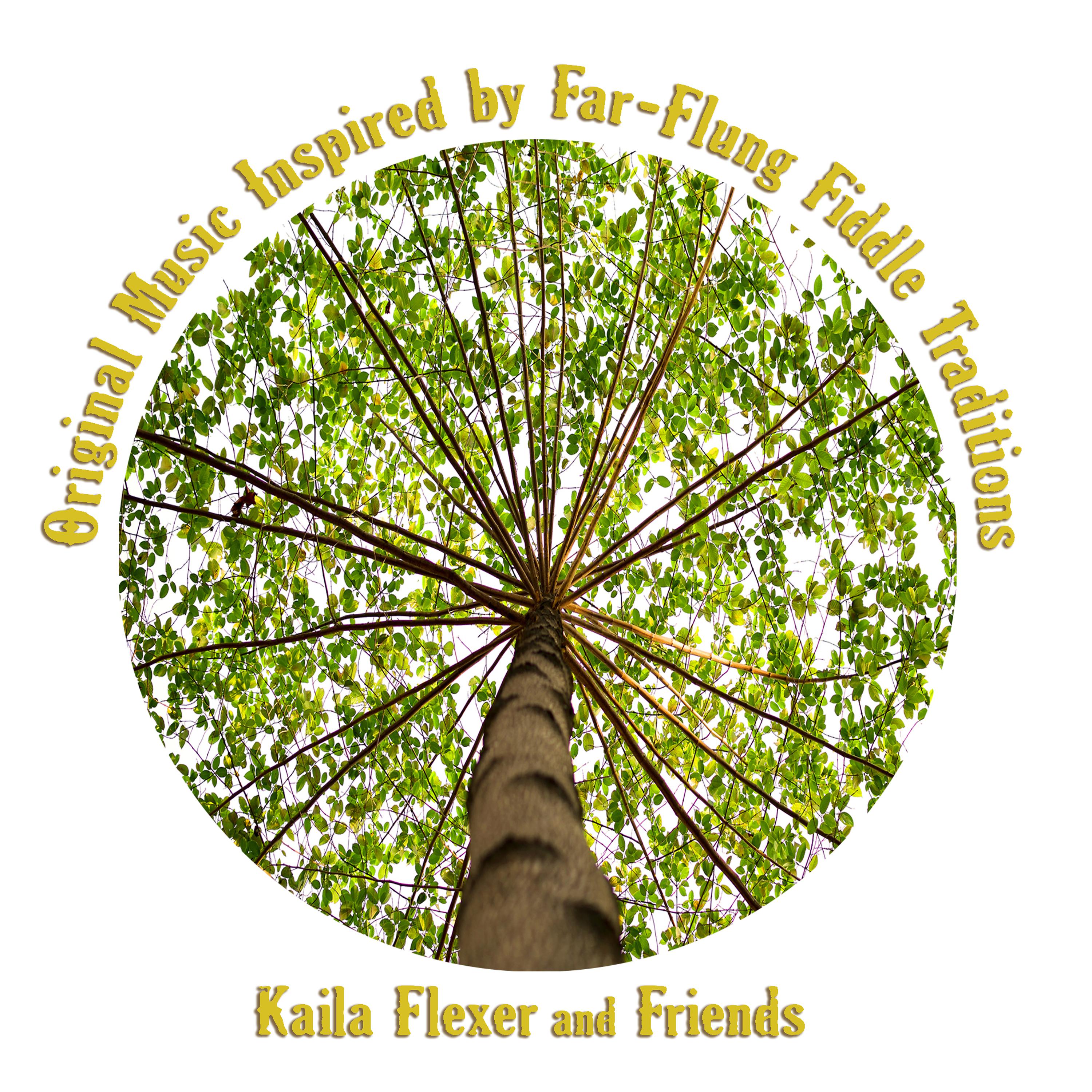 Постер альбома Kaila Flexer and Friends: Original Music Inspired by Far-Flung Fiddle Traditions