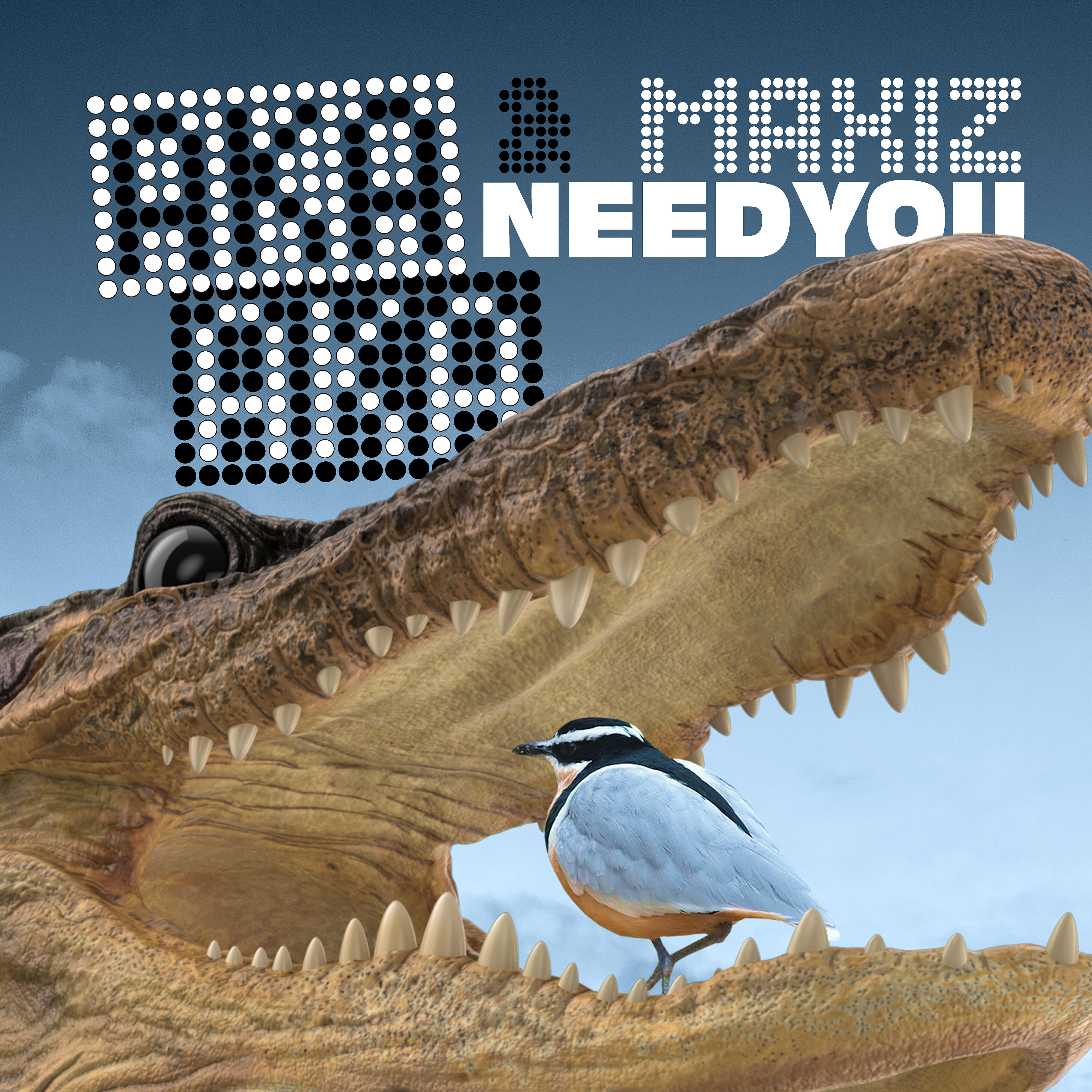 AKA AKA - Need You