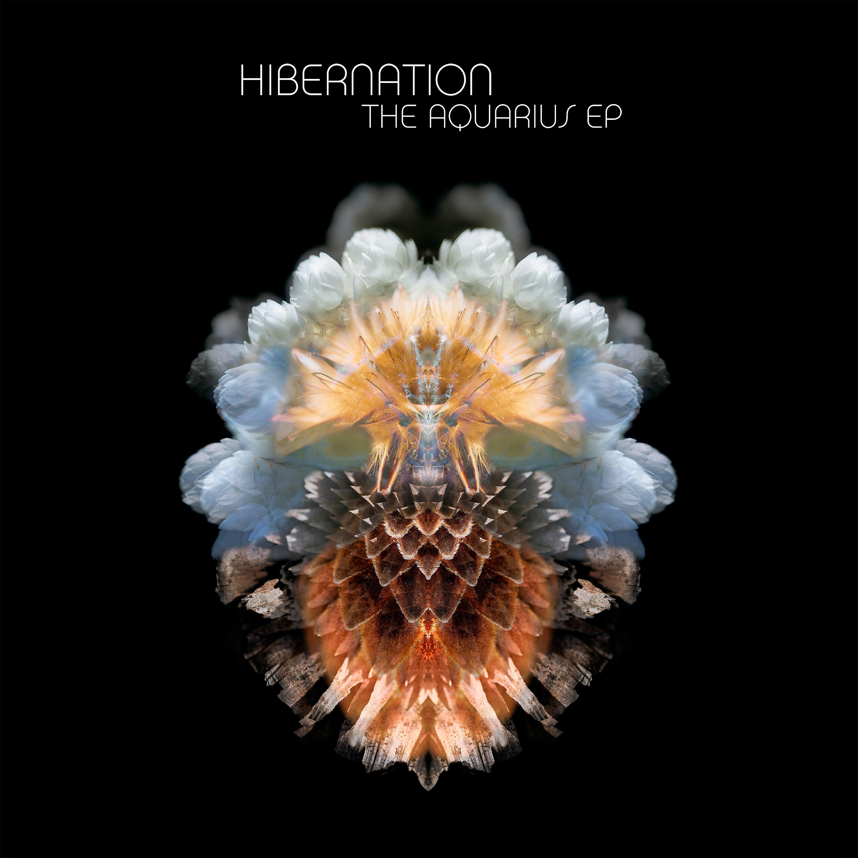 Hibernation - Dream of Asgaard