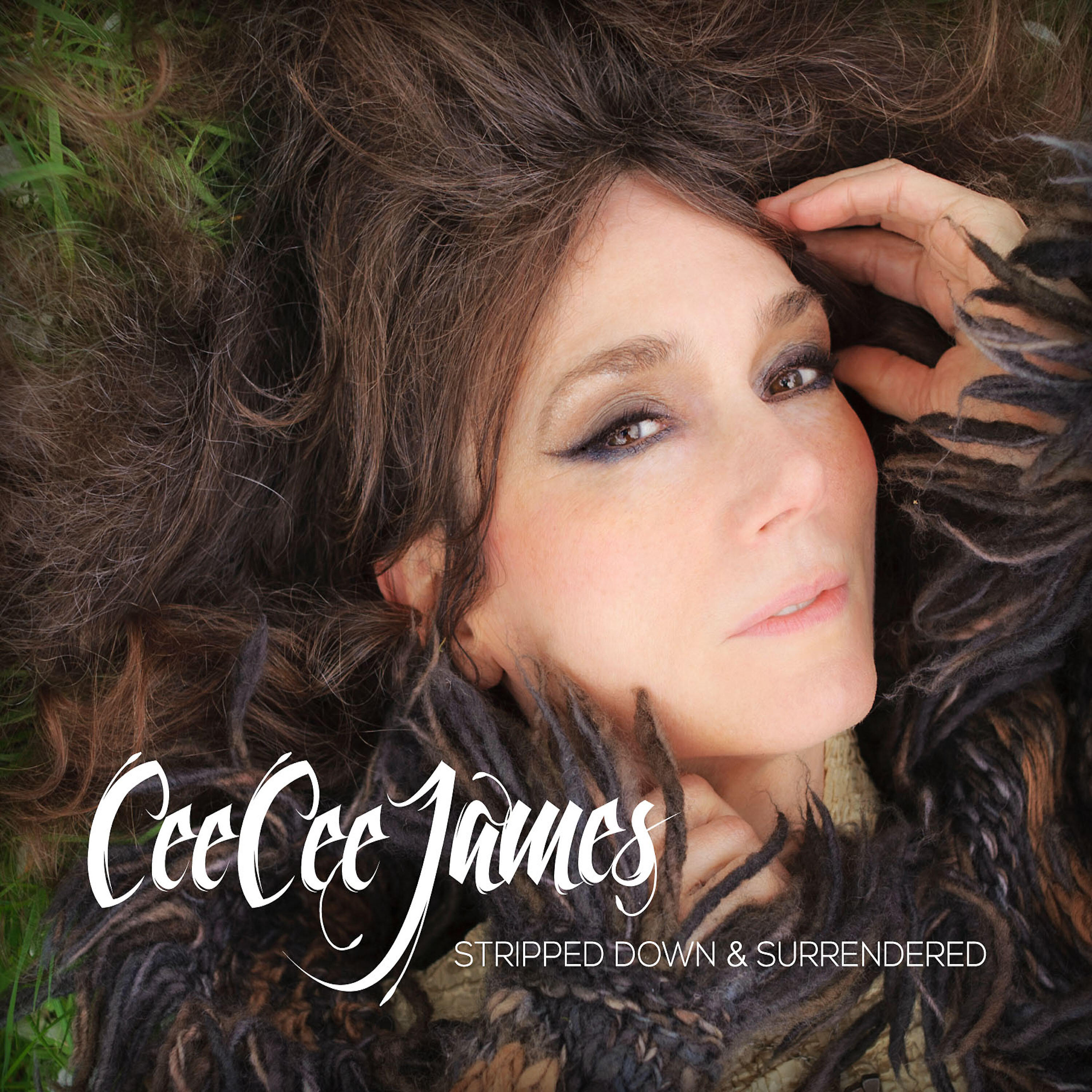 Cee Cee James - The Edge Is Where I Stopped