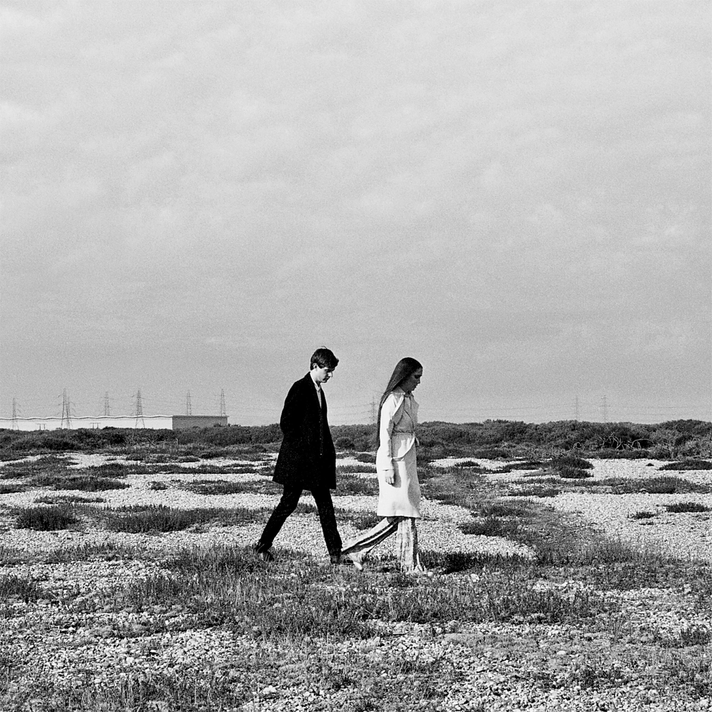 Alpines - Love and Money