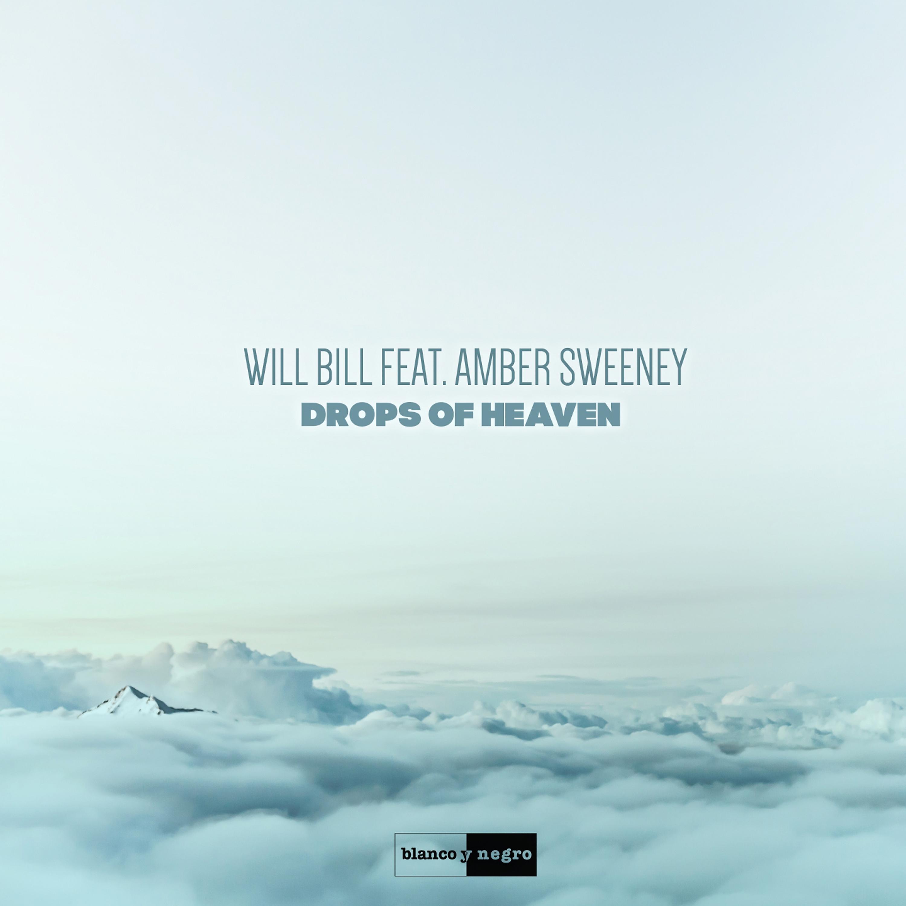 Постер альбома Drops of Heaven