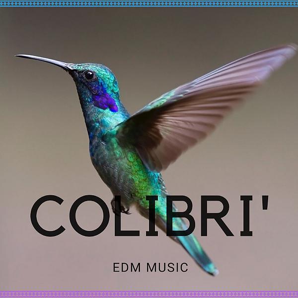 Постер альбома Colibrì EDM Music