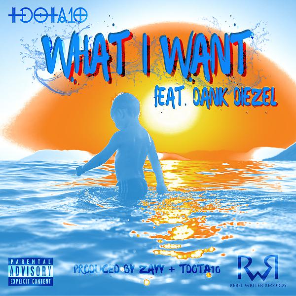 Постер альбома What I Want (feat. Dank Diezel)