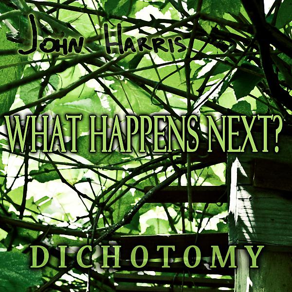 Постер альбома What Happens Next?
