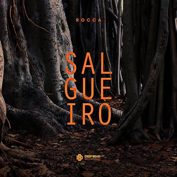 Постер альбома Salgueiro