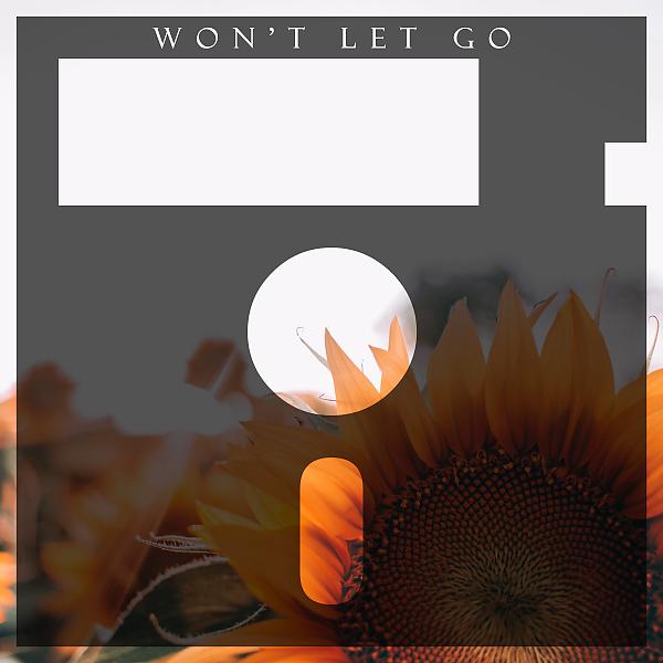 Постер альбома Won't Let Go EP