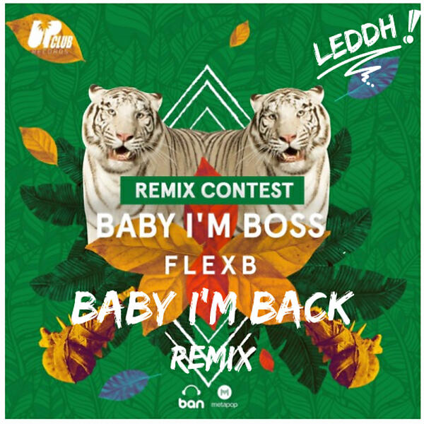 [Unknown] - Baby I'm Back  (LEDDH Baby I'm Back REMIX)
