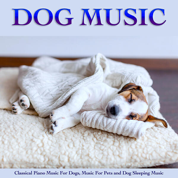 Dog Music - Romance In F Major - Beethoven - Music For Pets