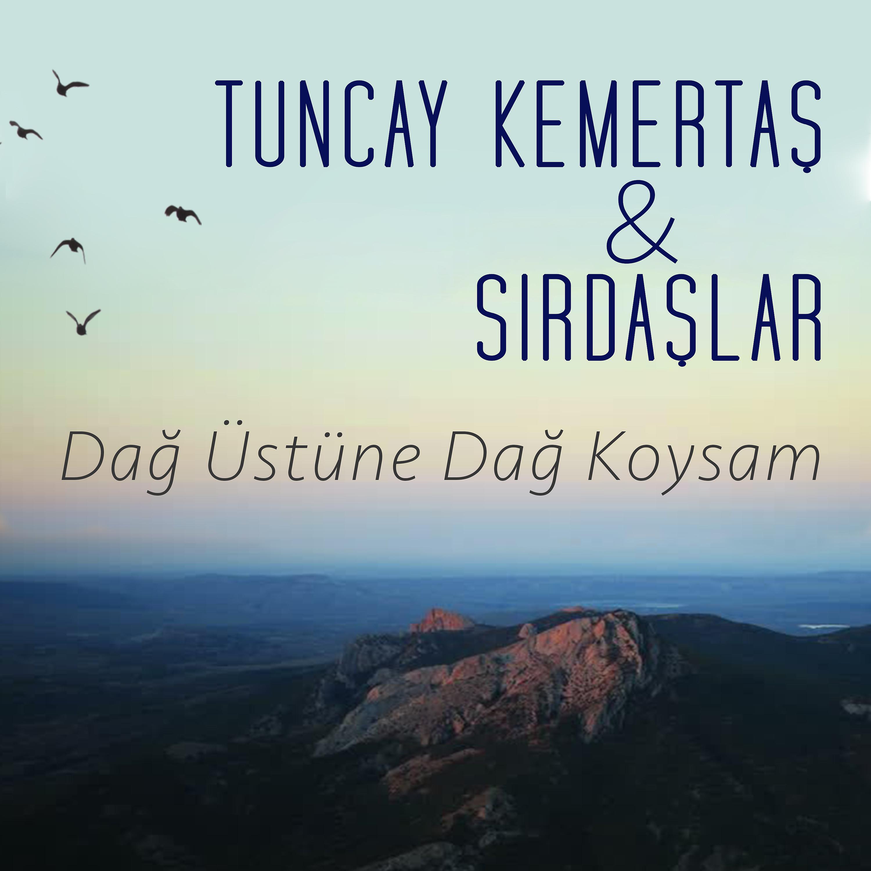 Постер альбома Dağ Üstüne Dağ Koysam