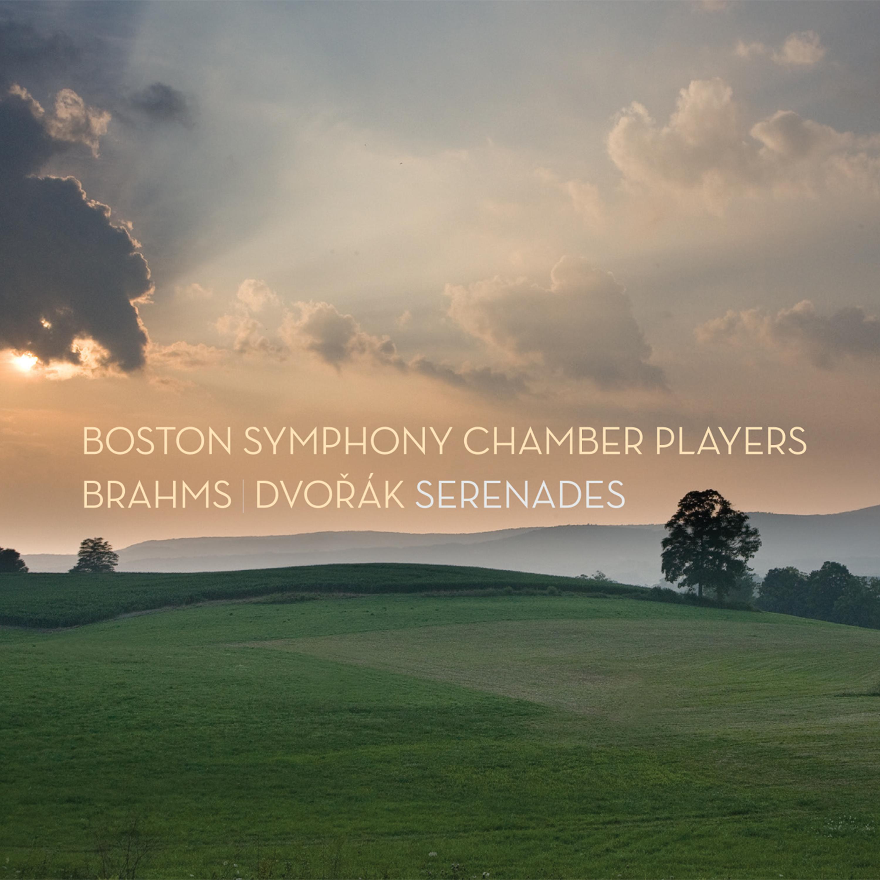 Boston Symphony Chamber Players - Serenade for Strings in E Major, Op. 22: III. Scherzo - Vivace