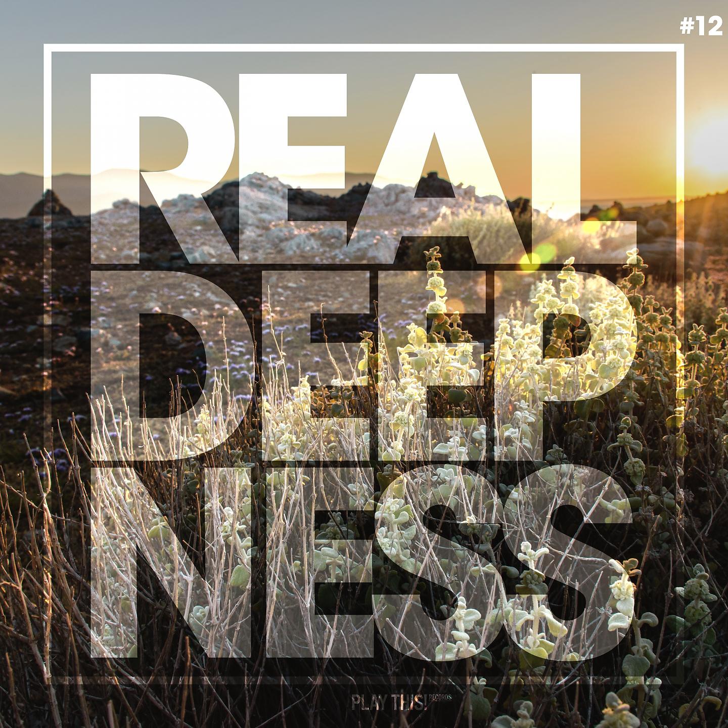 Постер альбома Real Deepness #12