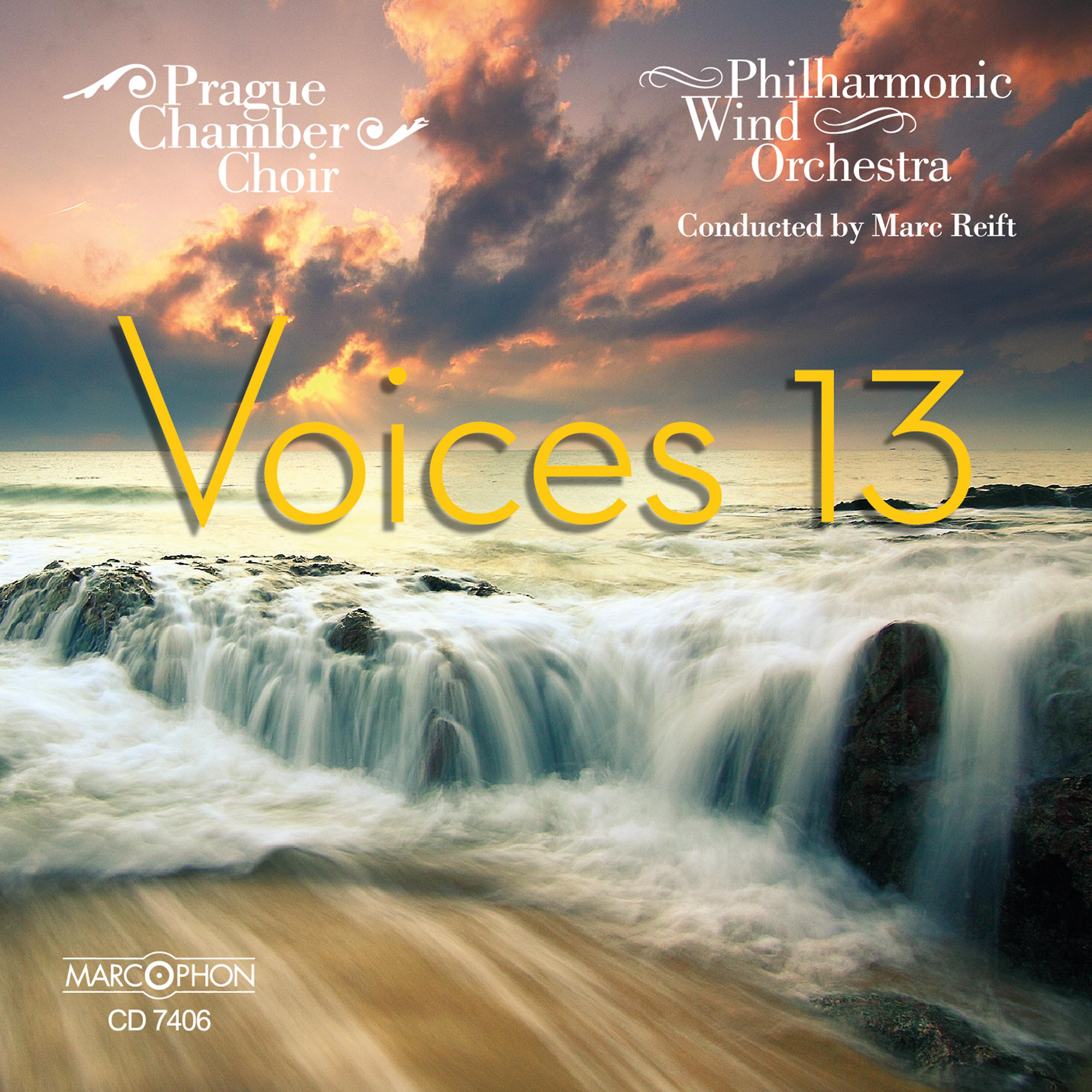 Постер альбома Voices 13