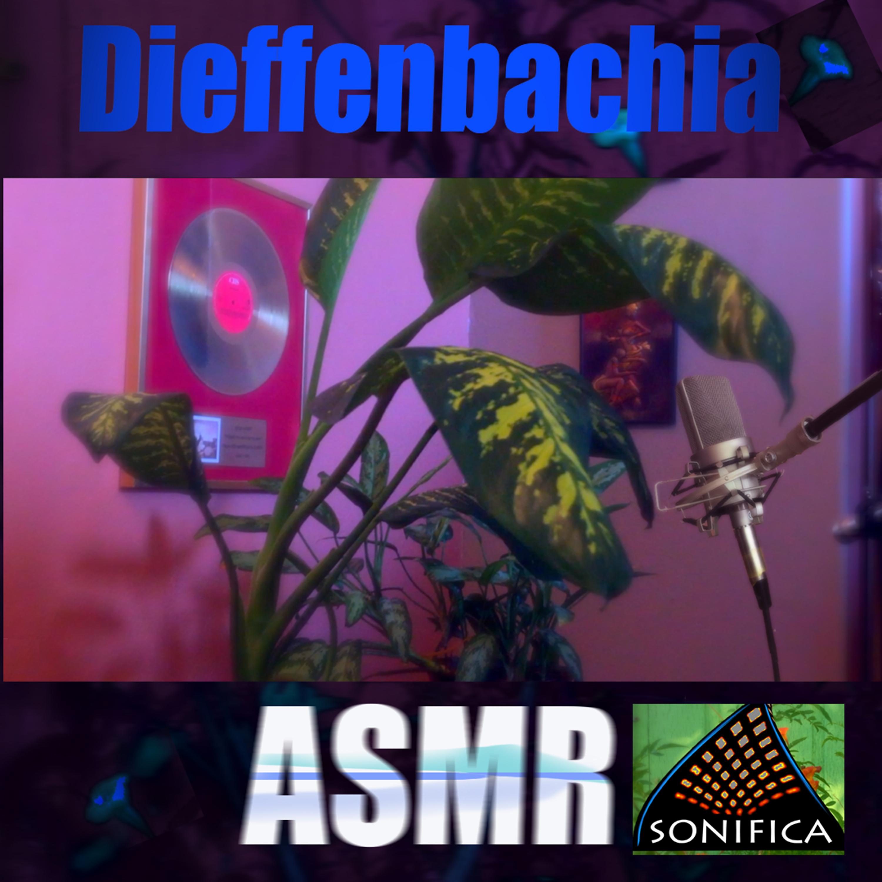 Постер альбома Diffenbachia Asmr