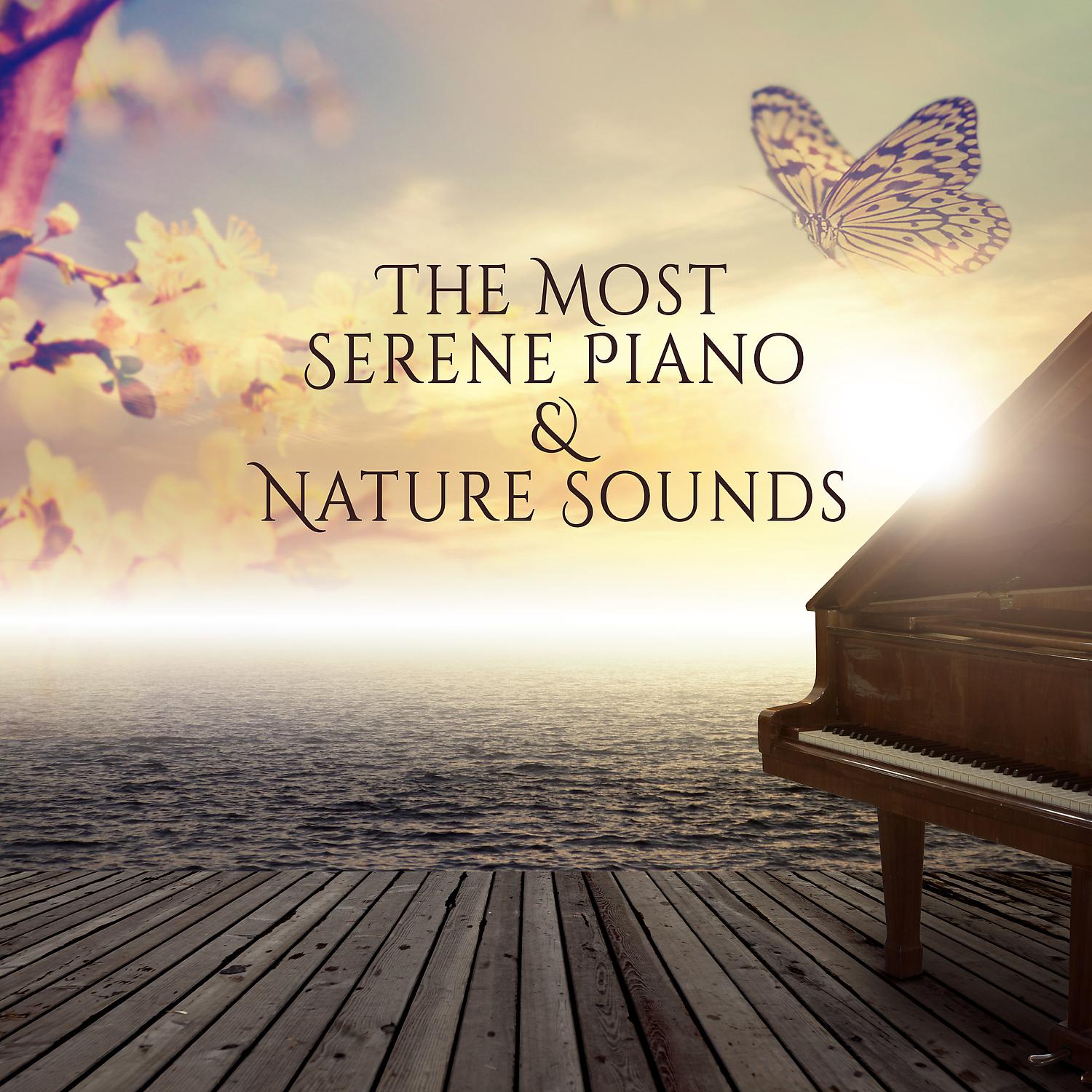 Постер альбома The Most Serene Piano & Nature Sounds - Joyful, Optimistic and Relaxing Collection