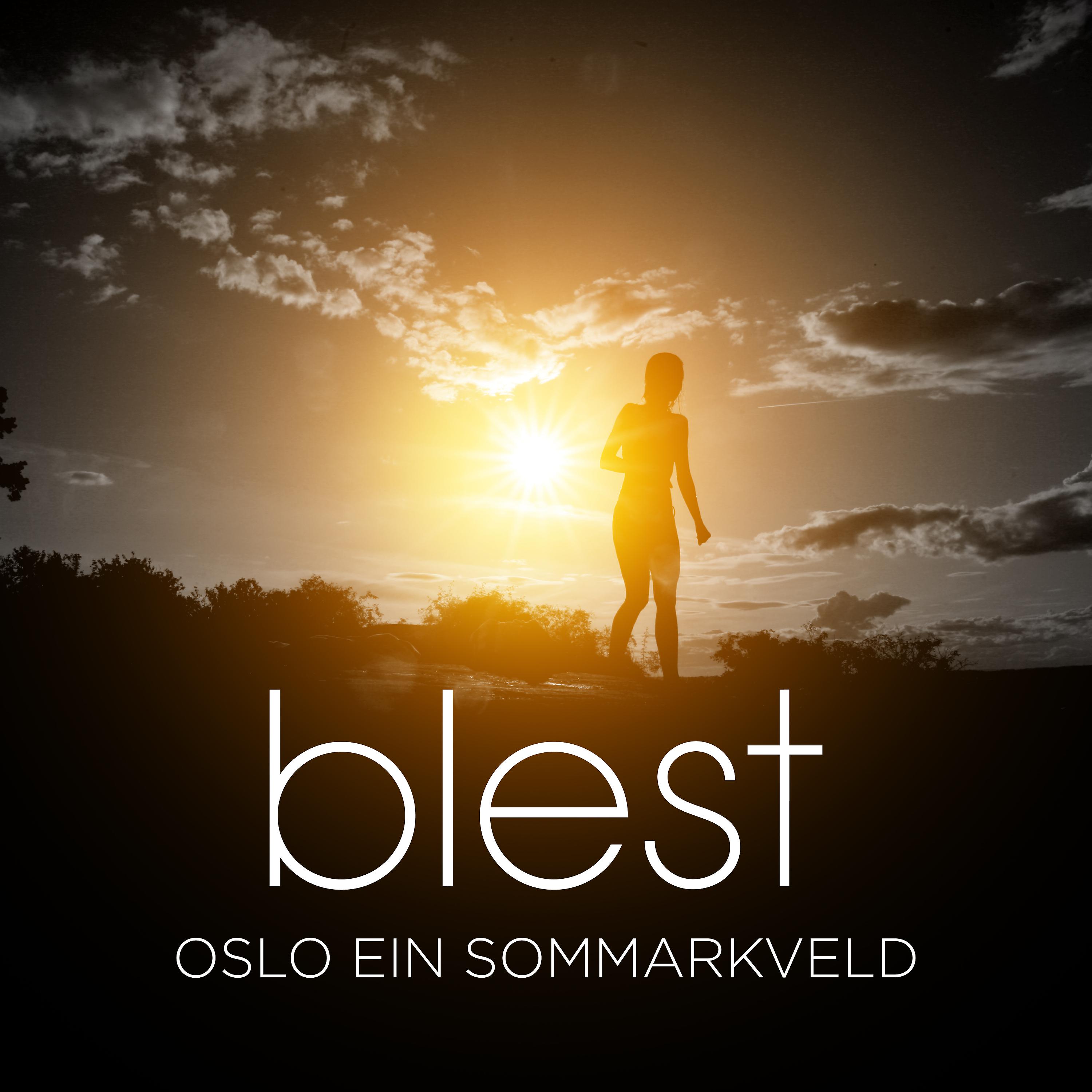 Постер альбома Oslo Ein Sommarkveld