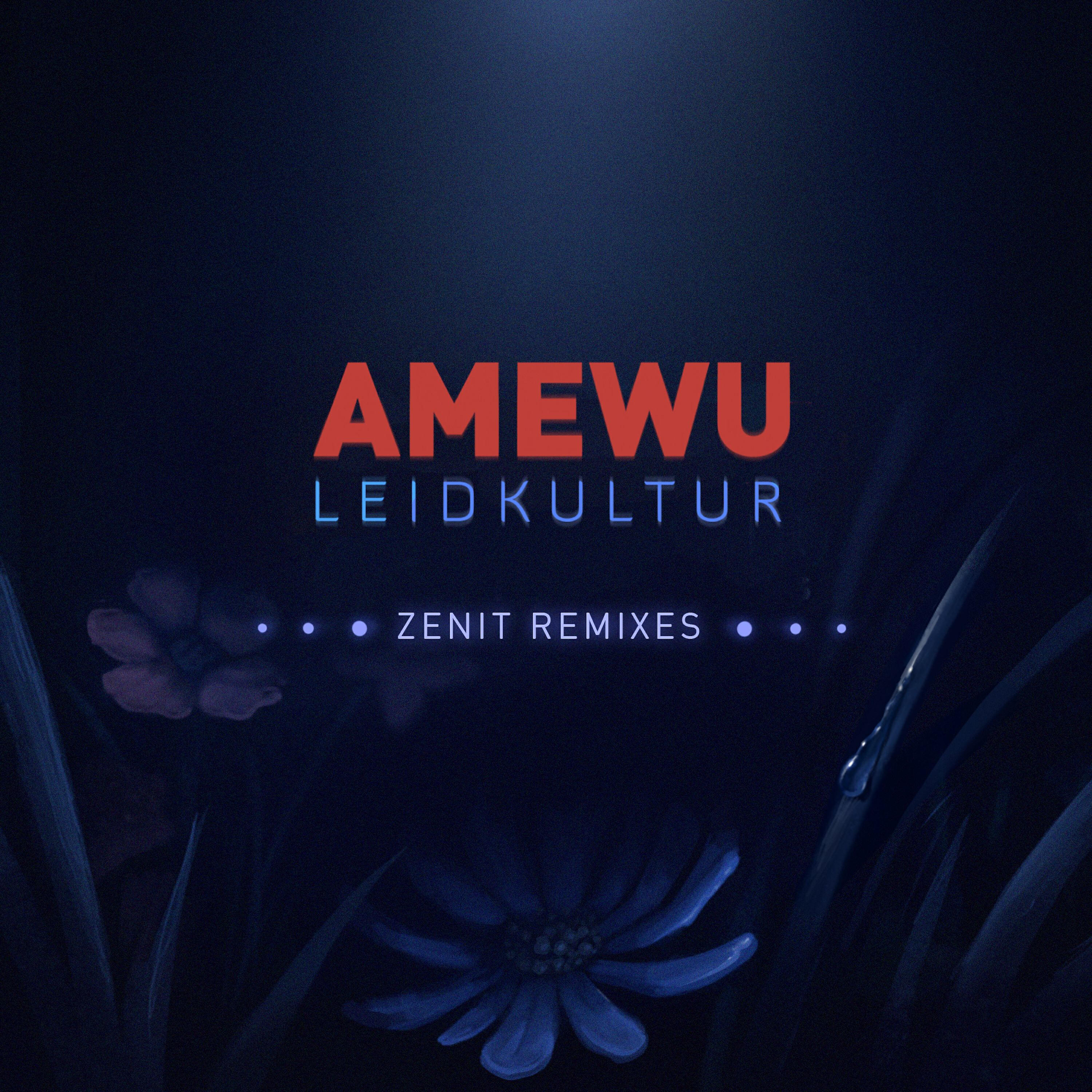 Amewu - Rückblick (Remix)