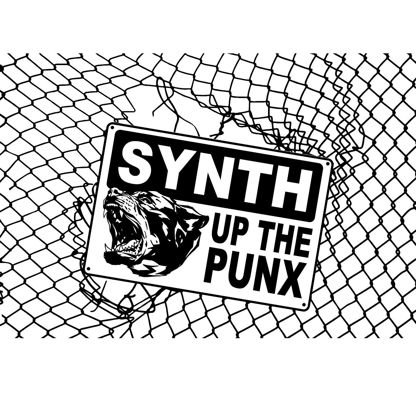 Постер альбома Synth up the Punx