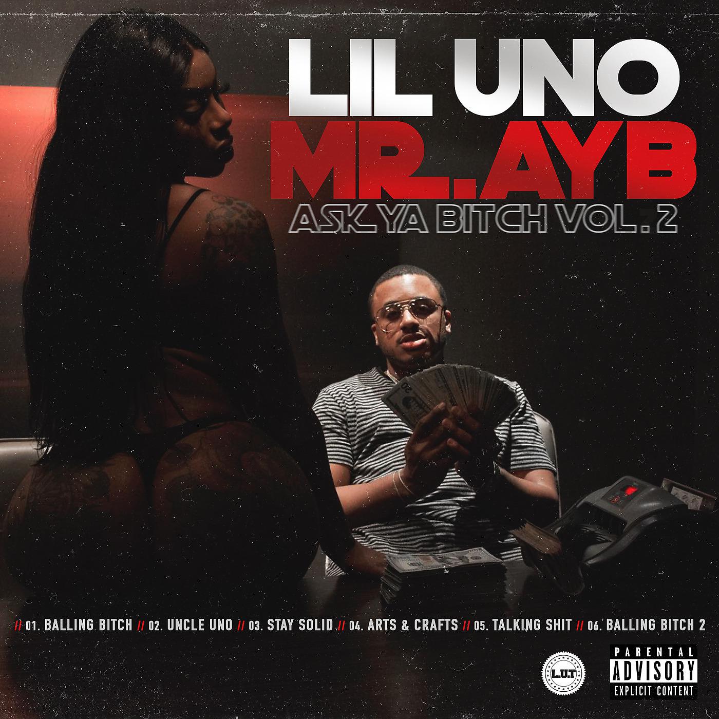 Постер альбома Mr. A.Y.B. (Ask Ya Bitch), Vol. 2
