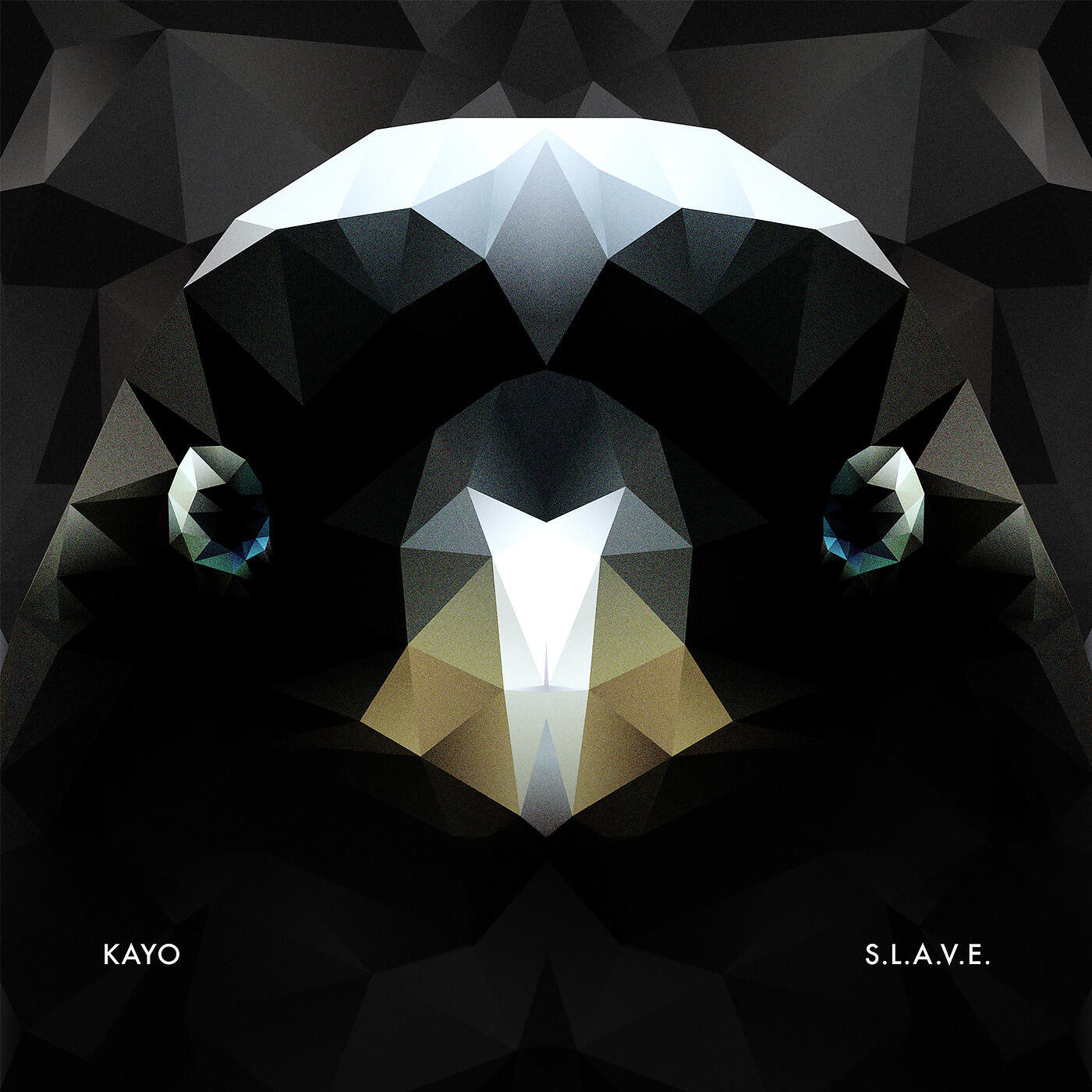 Kayo - S.L.a.V.E.